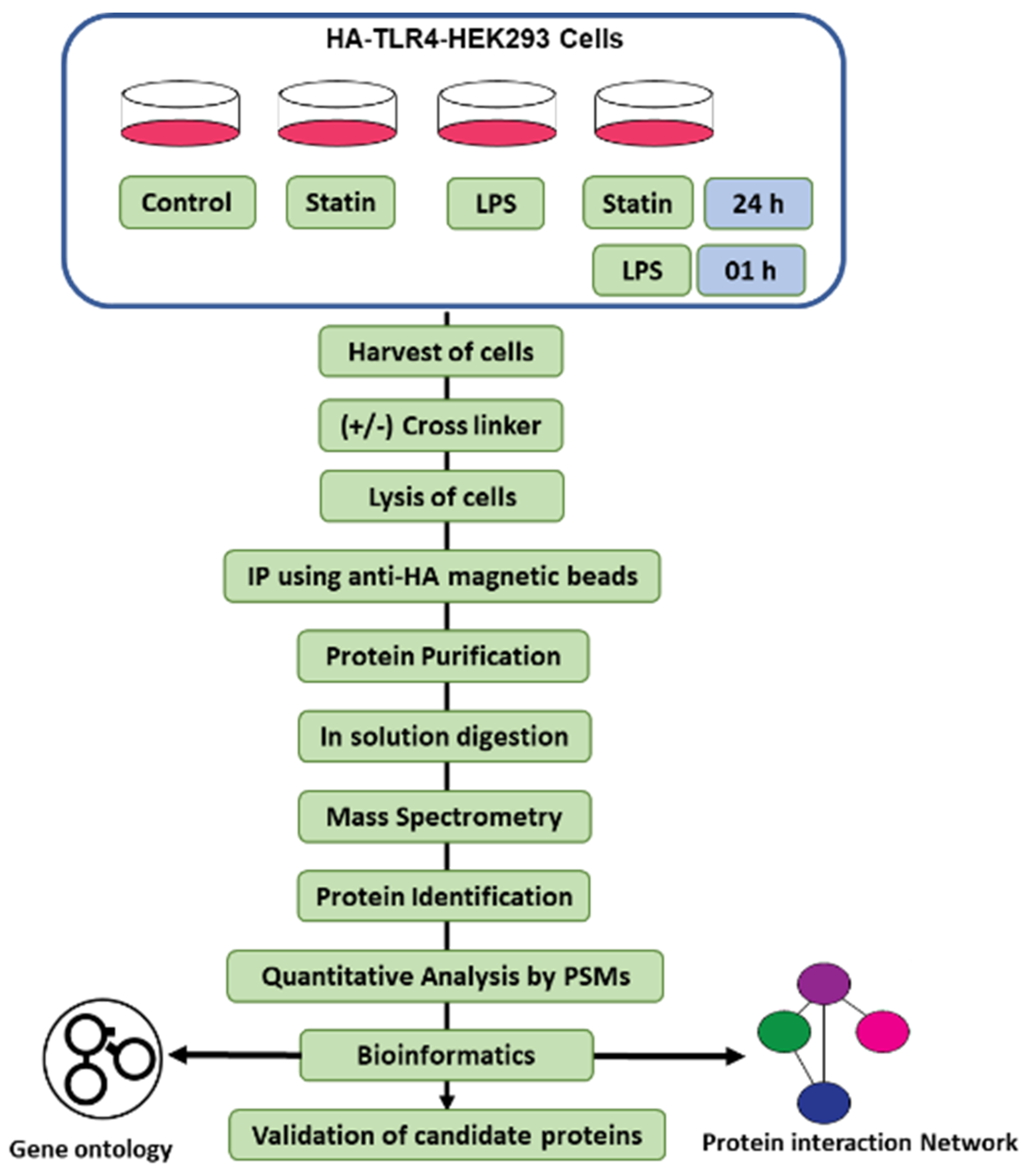 Proteomes 10 00031 g001