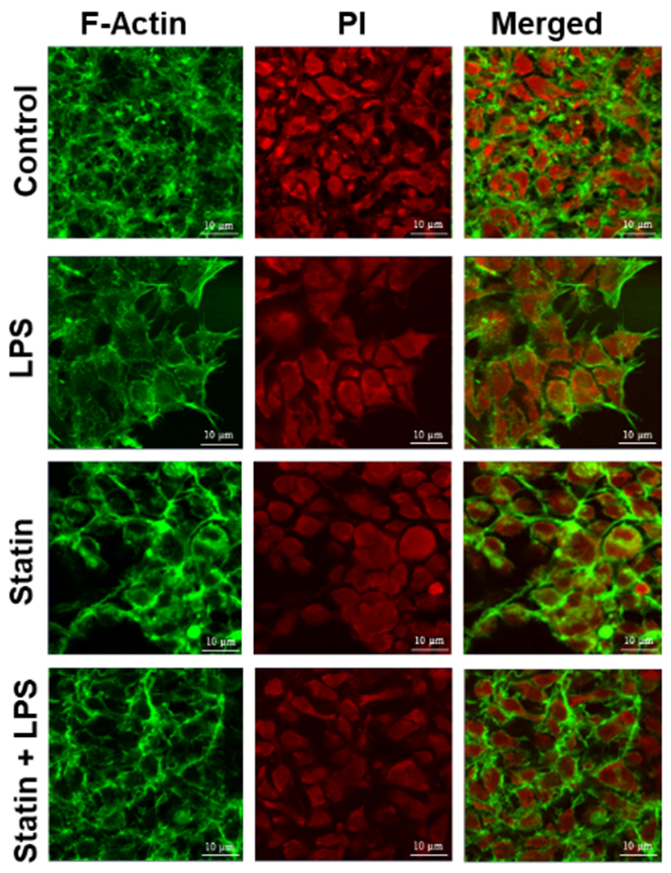 Proteomes 10 00031 g006