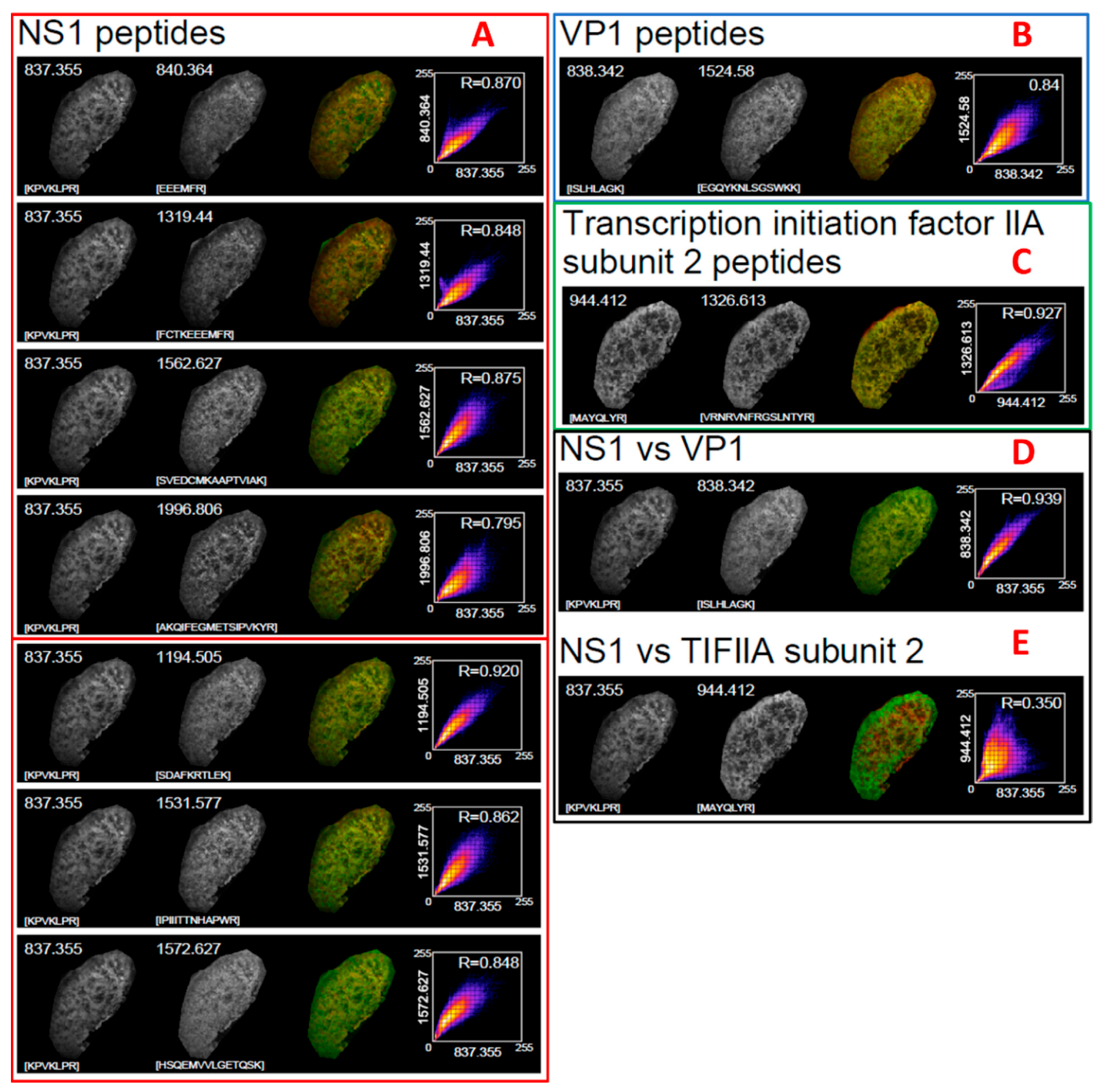 Proteomes 10 00033 g002