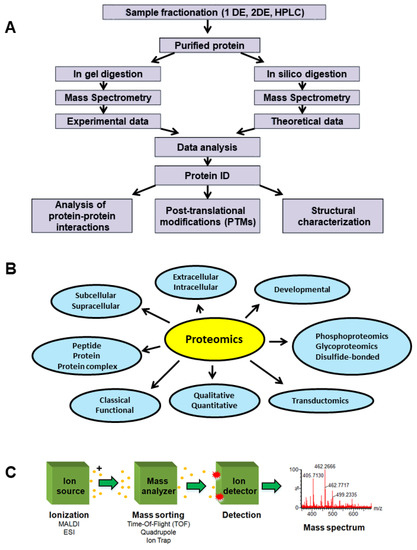 Proteomes 10 00035 g001