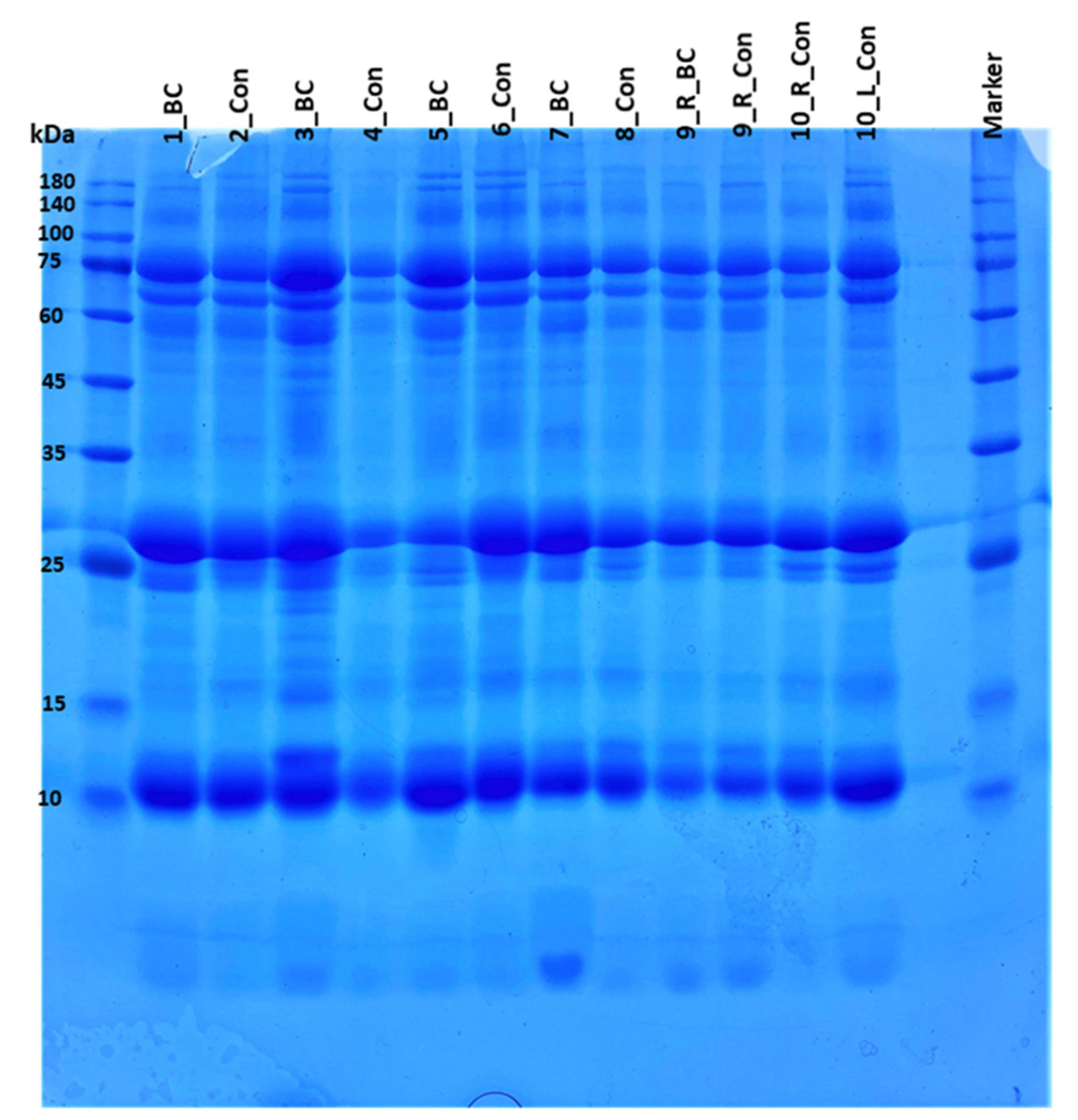 Proteomes 10 00036 g001
