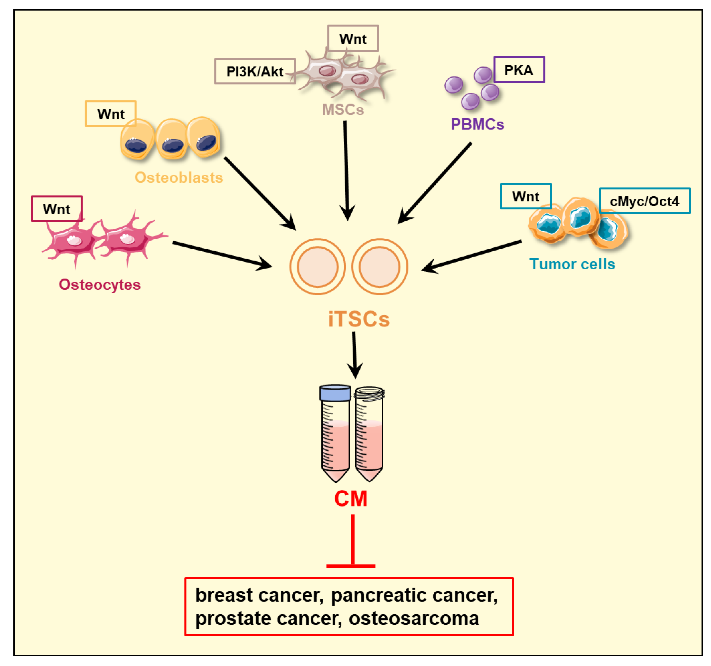 Proteomes 11 00005 g001