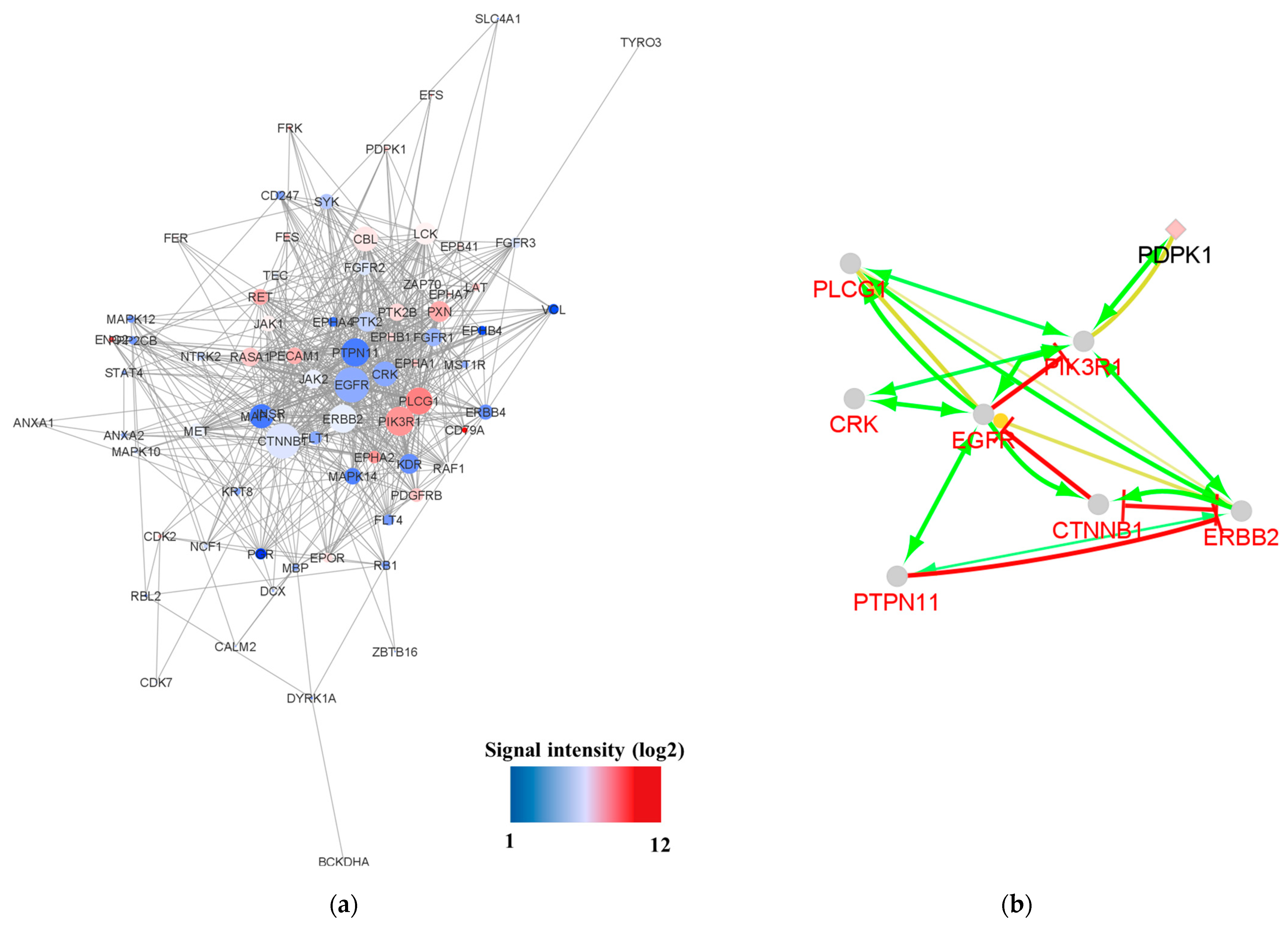 Proteomes 11 00006 g003