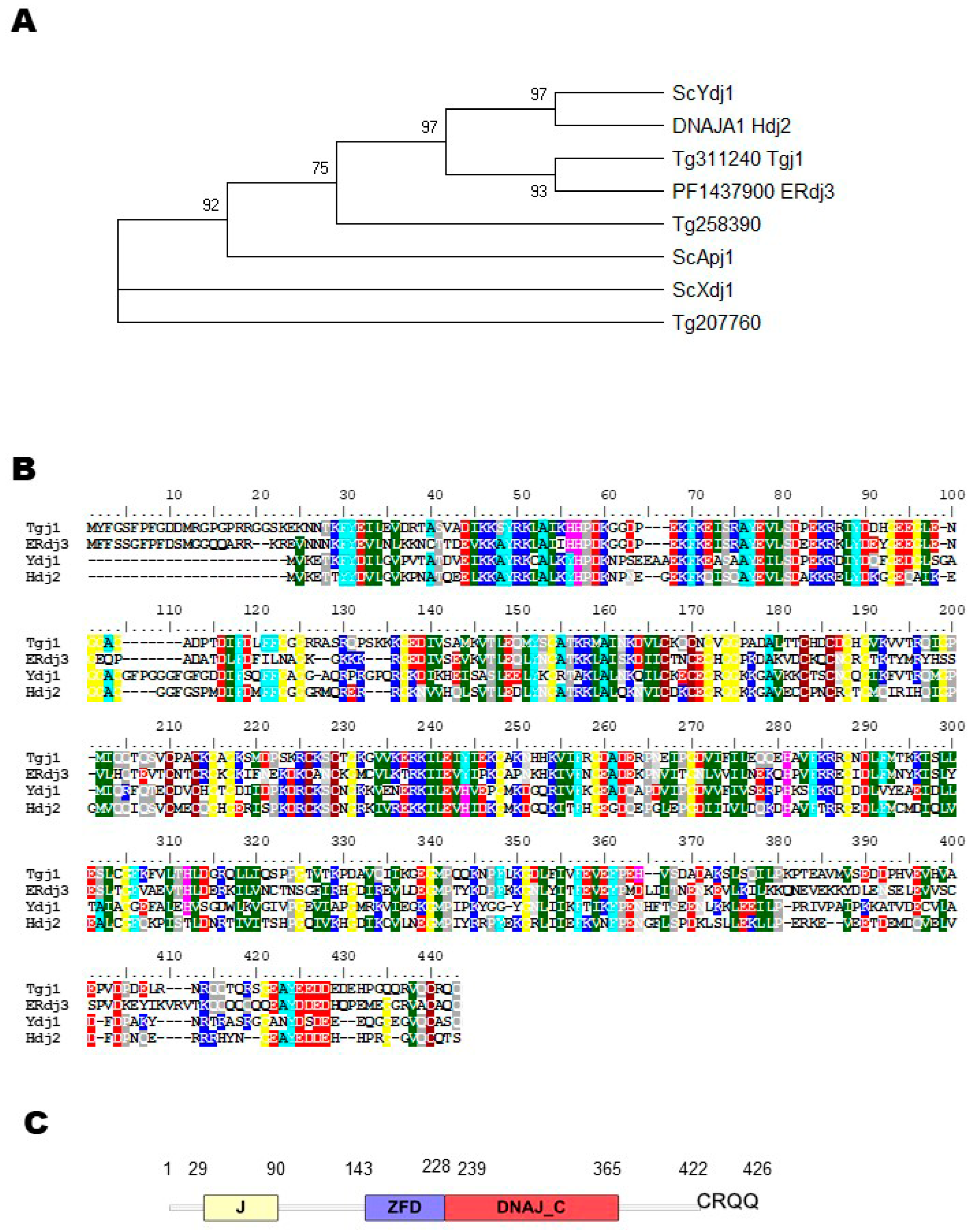 Proteomes 11 00009 g001