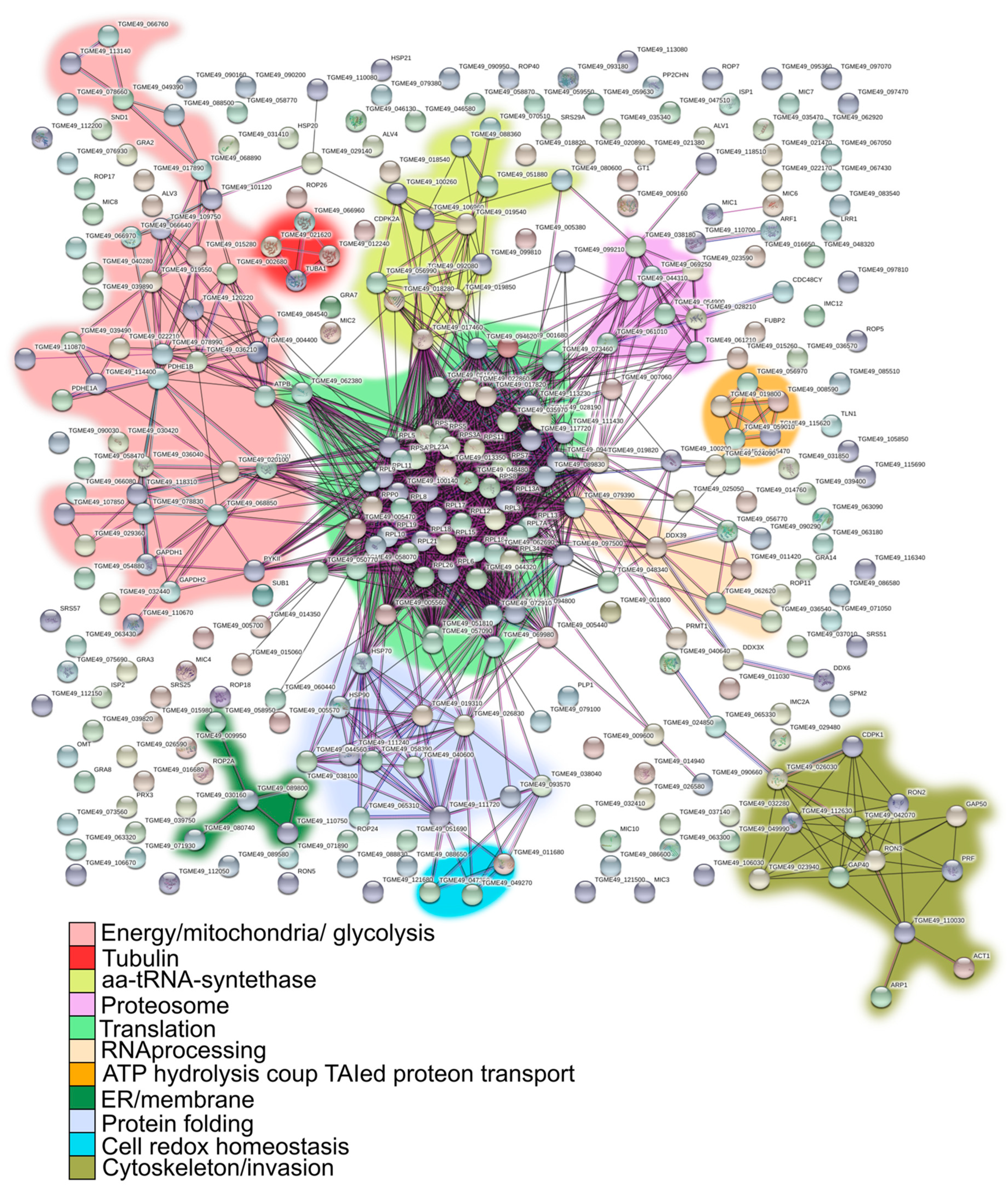 Proteomes 11 00009 g004
