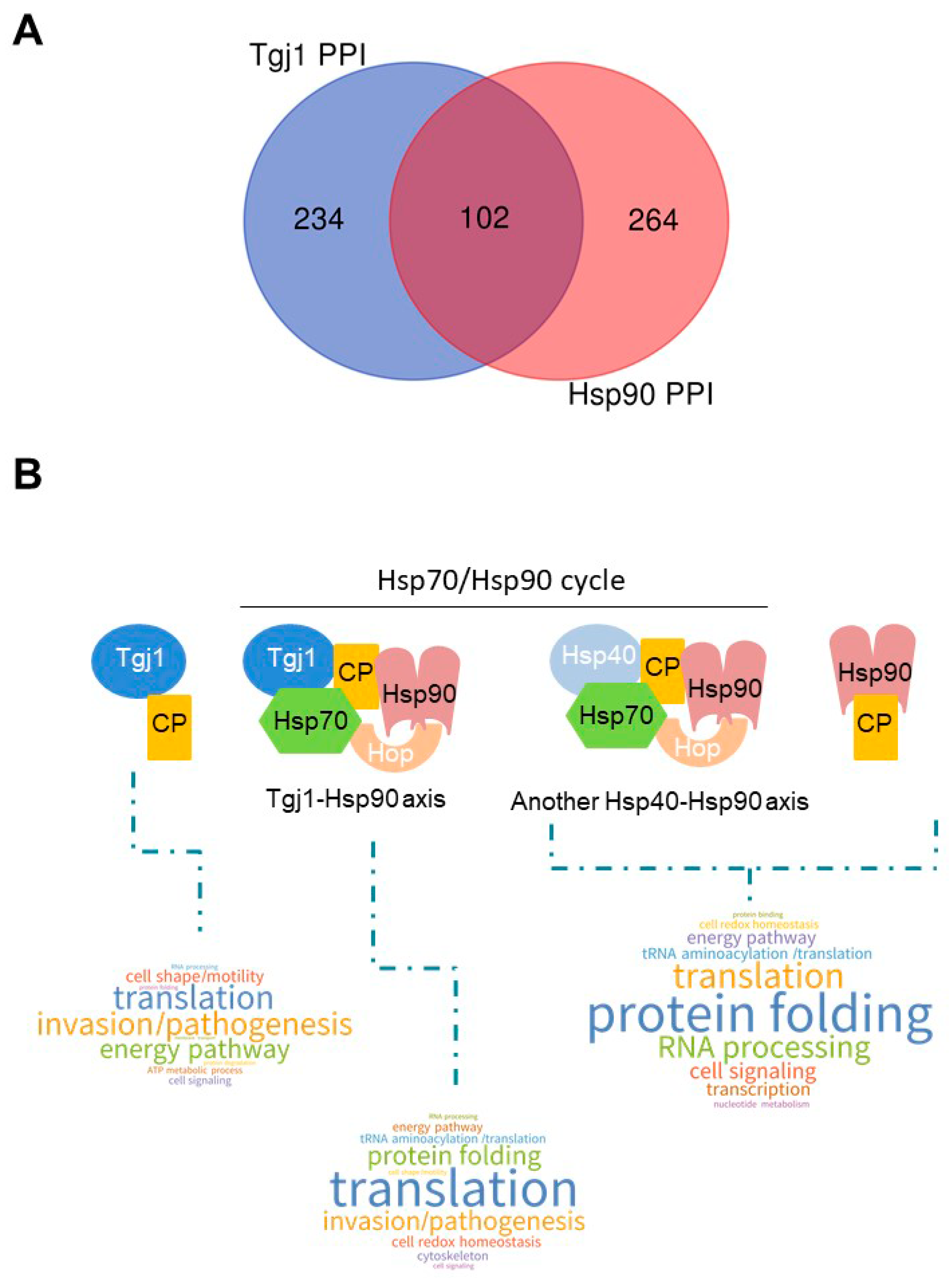 Proteomes 11 00009 g005