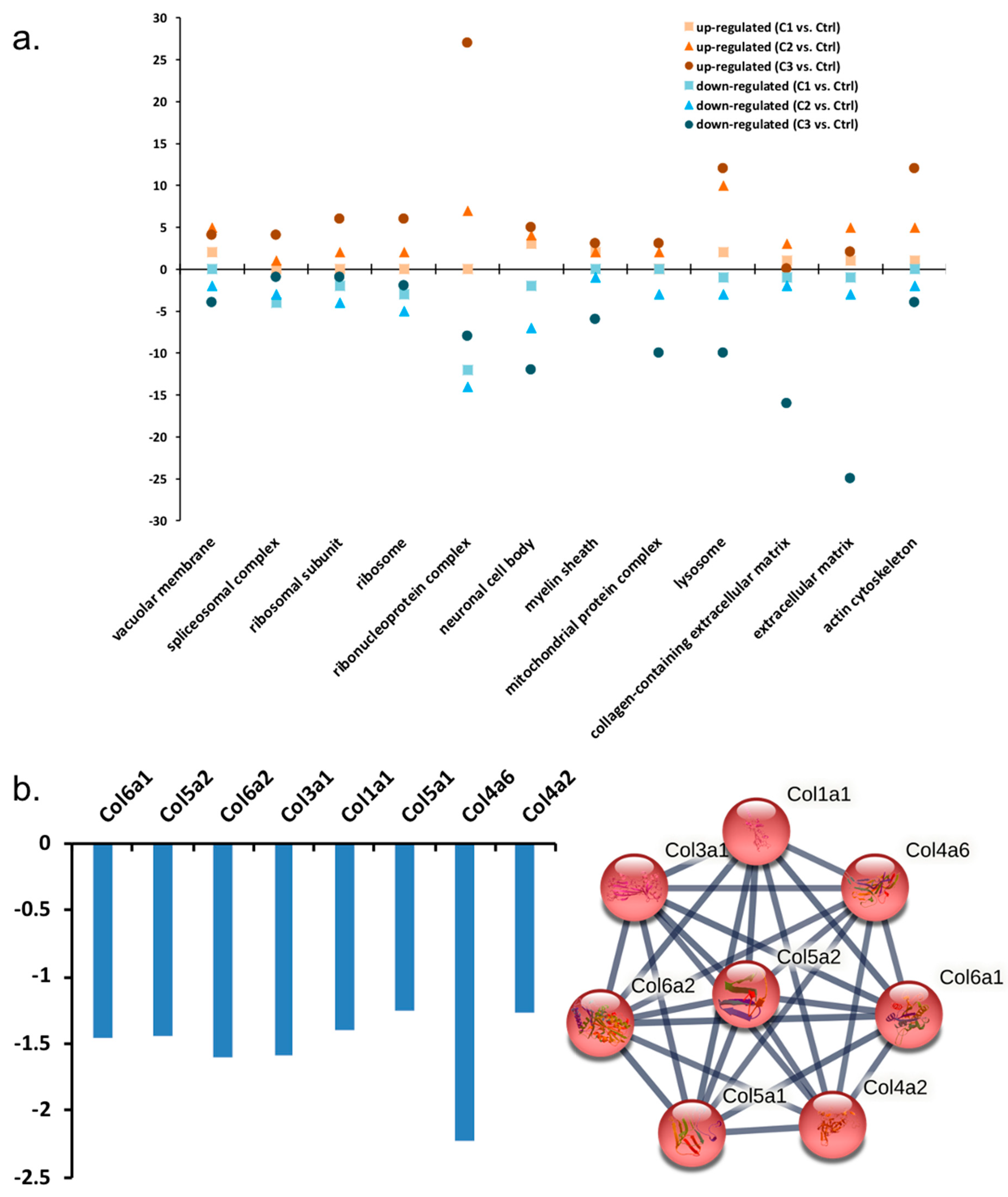Proteomes 11 00012 g004