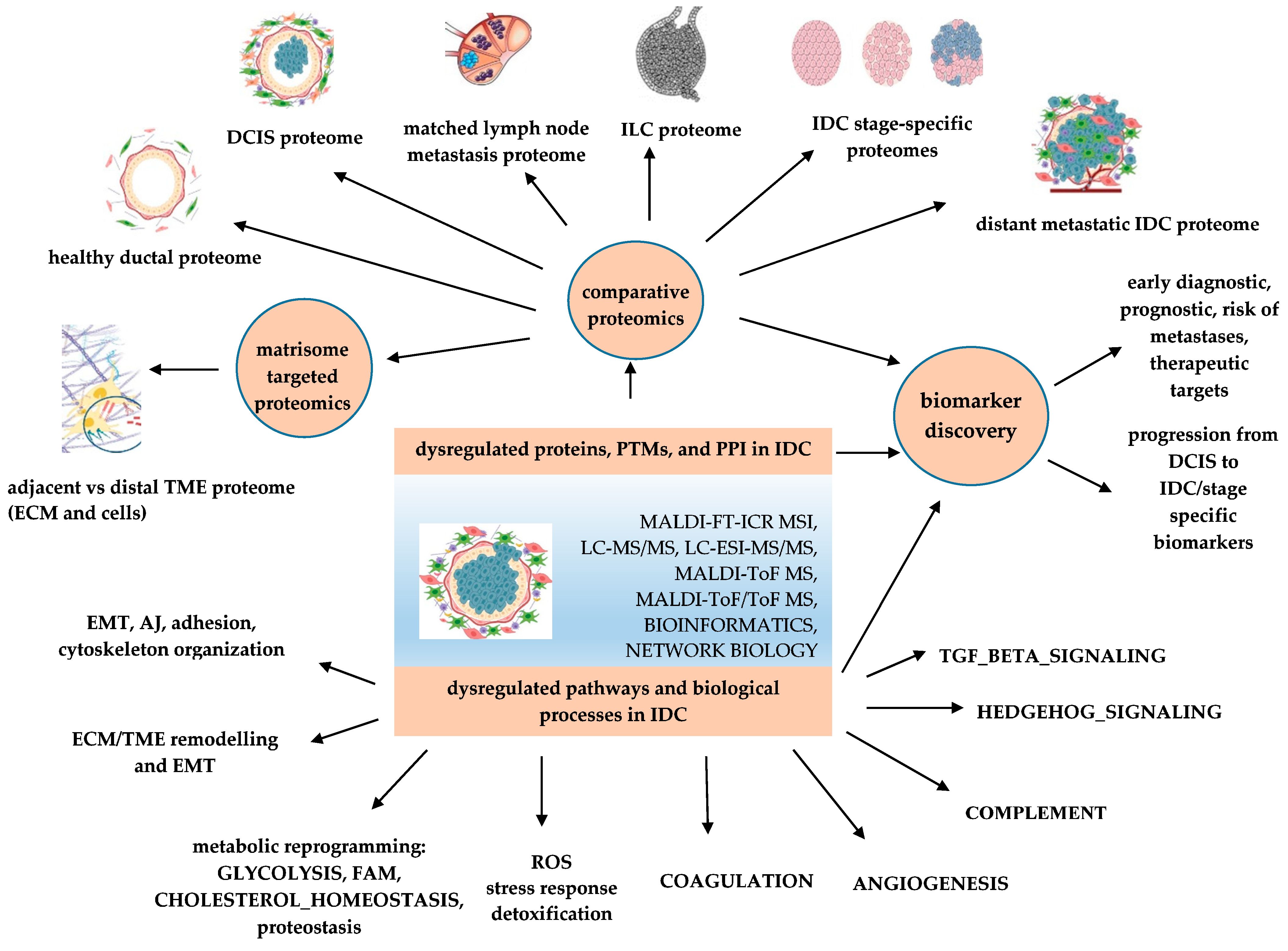 Proteomes 11 00013 g001 Proteomes 11 00013 g001