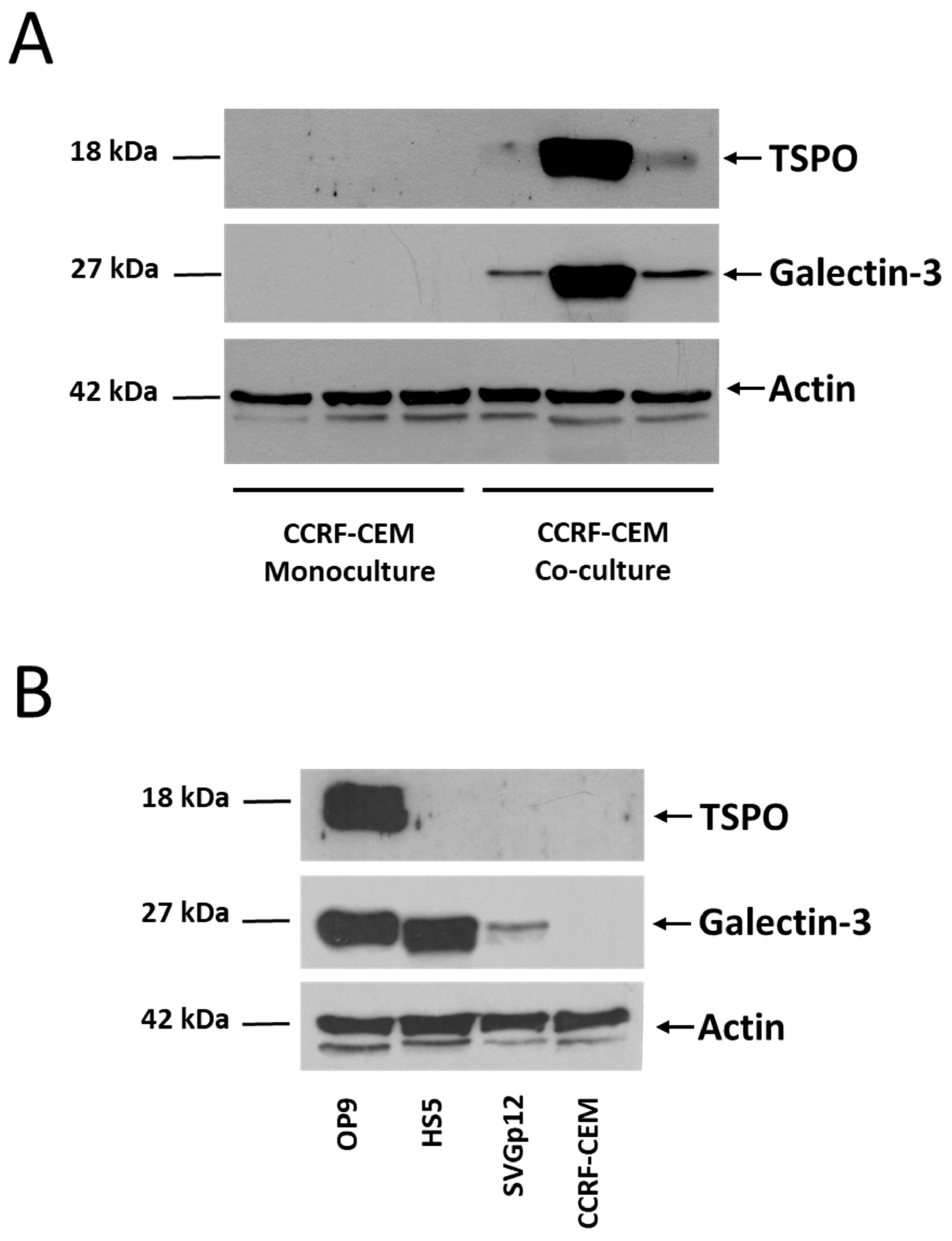 Proteomes 11 00015 g004 Proteomes 11 00015 g004