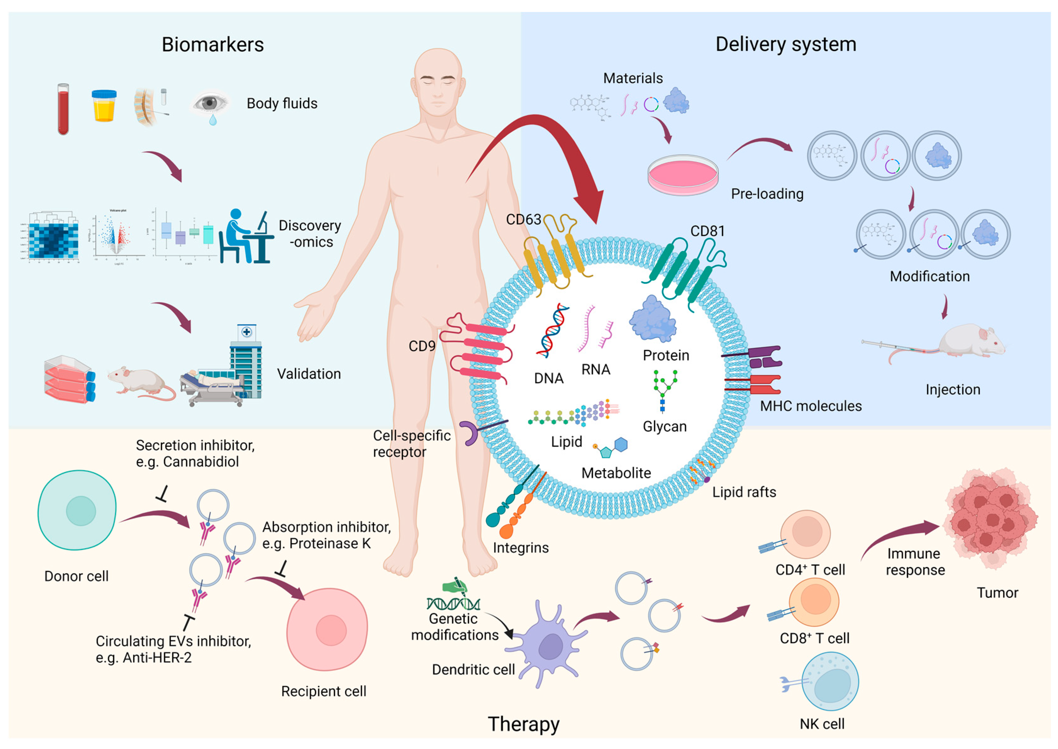 Proteomes 11 00018 g002