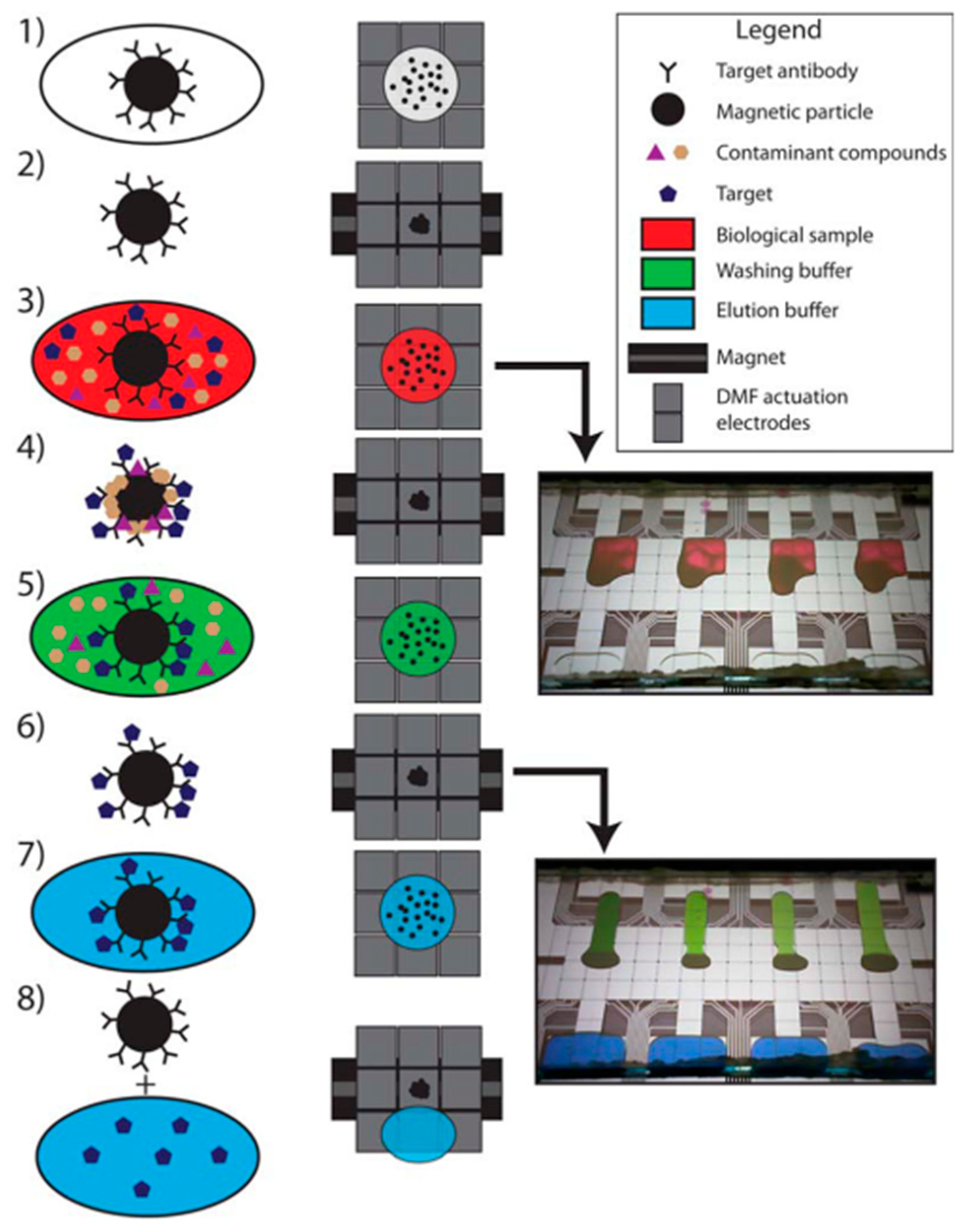 Proteomes 11 00019 g006