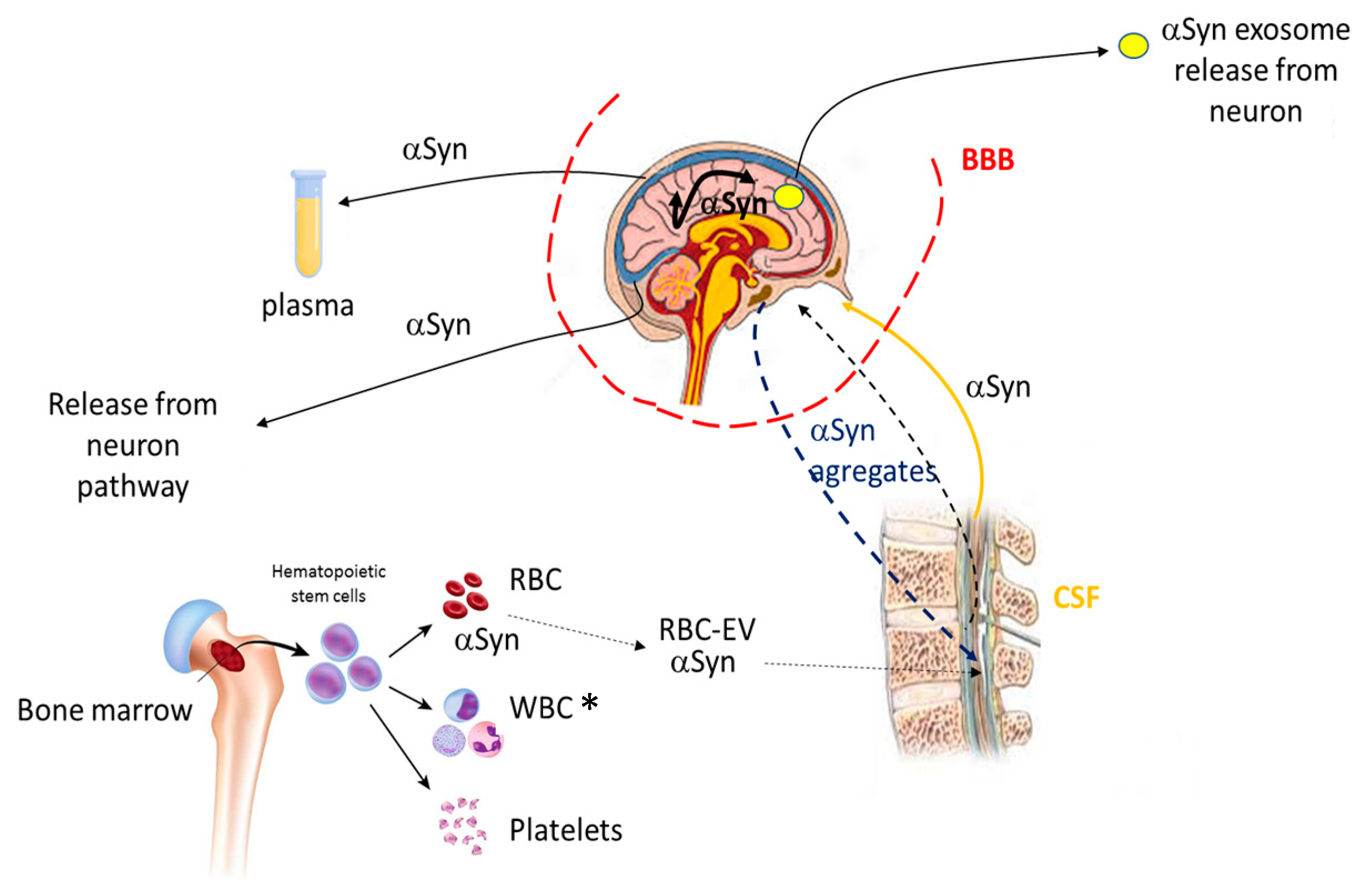 Proteomes 11 00019 g008