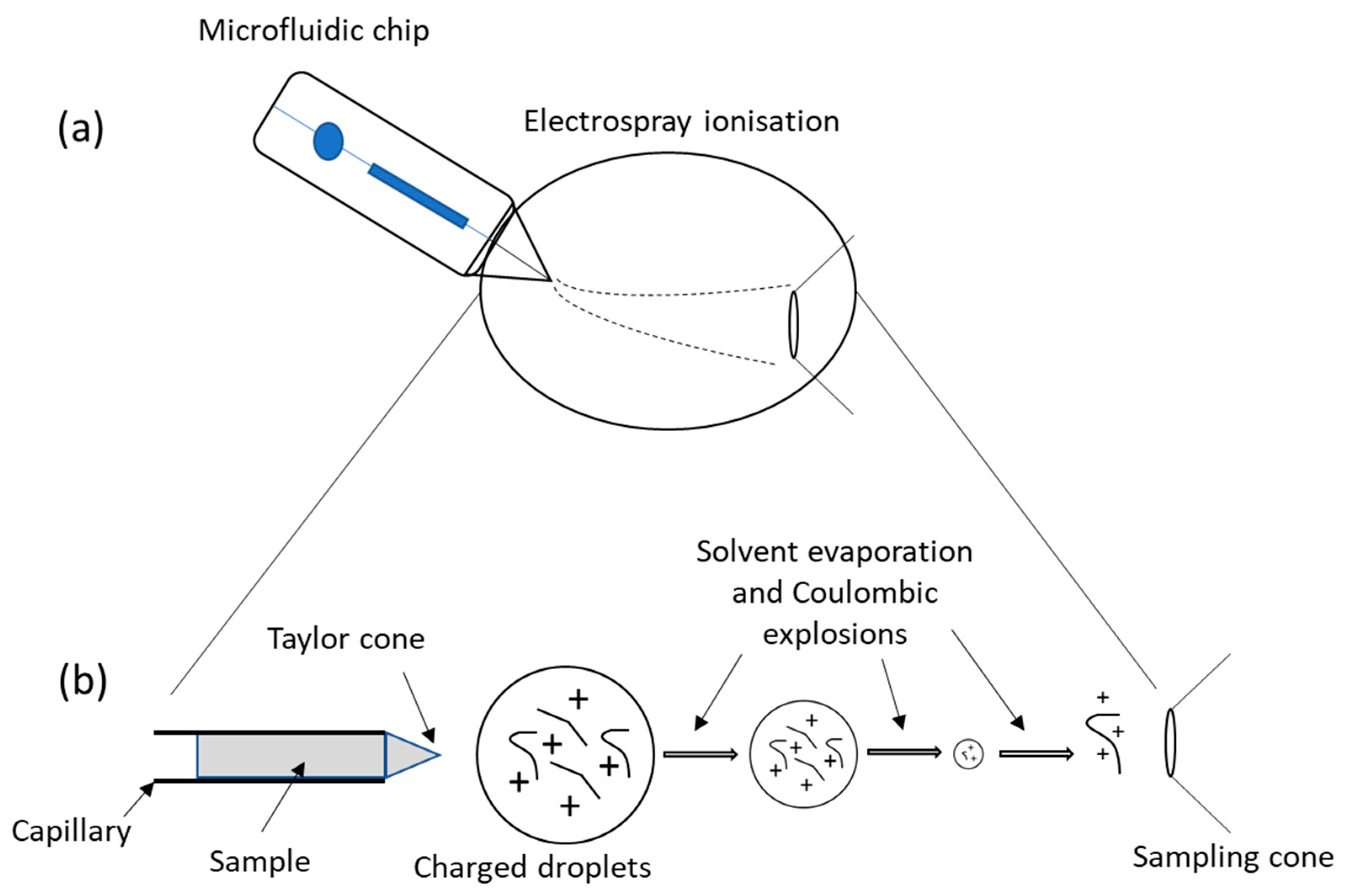 Proteomes 11 00019 g009