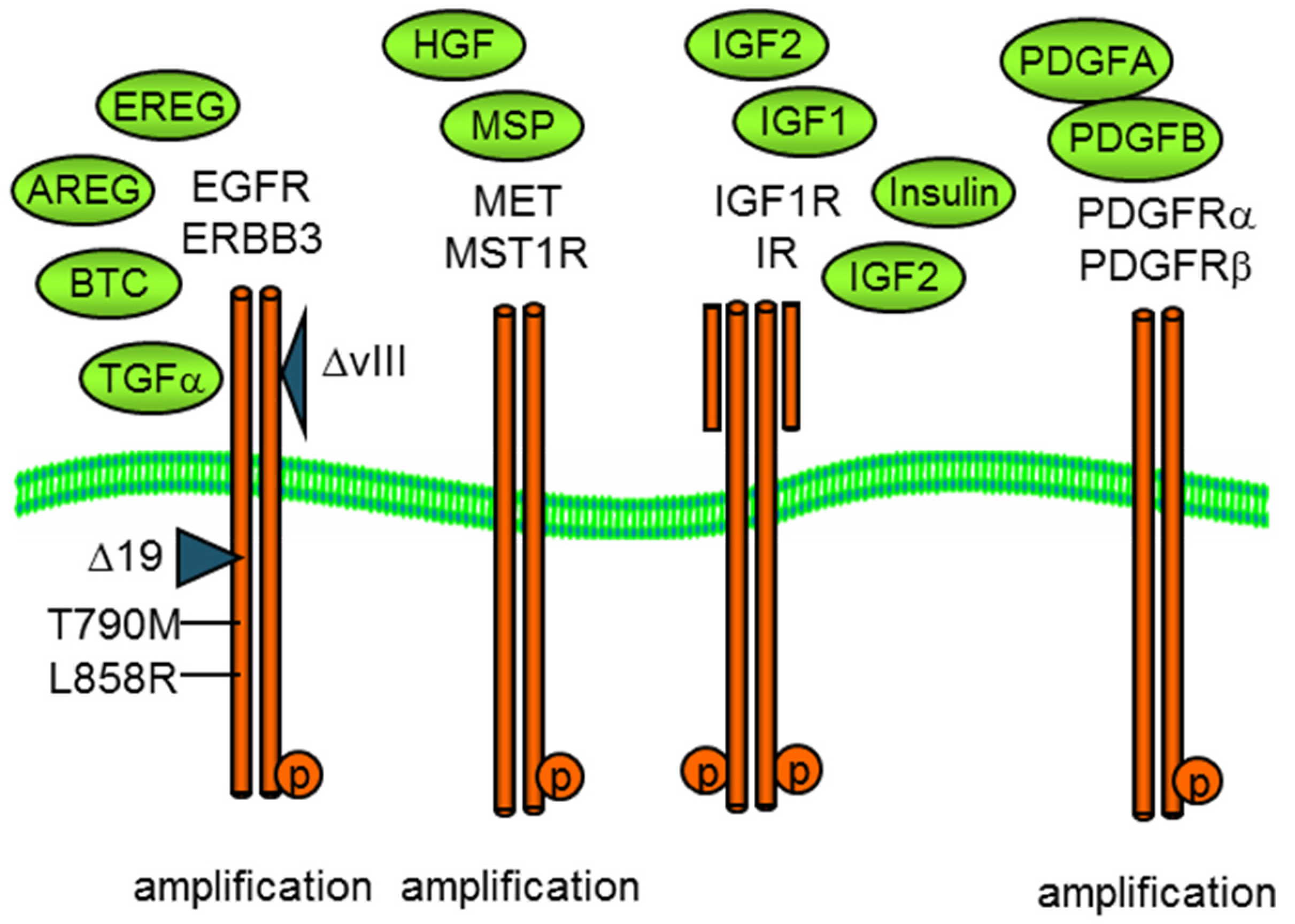 Proteomes 11 00020 g001