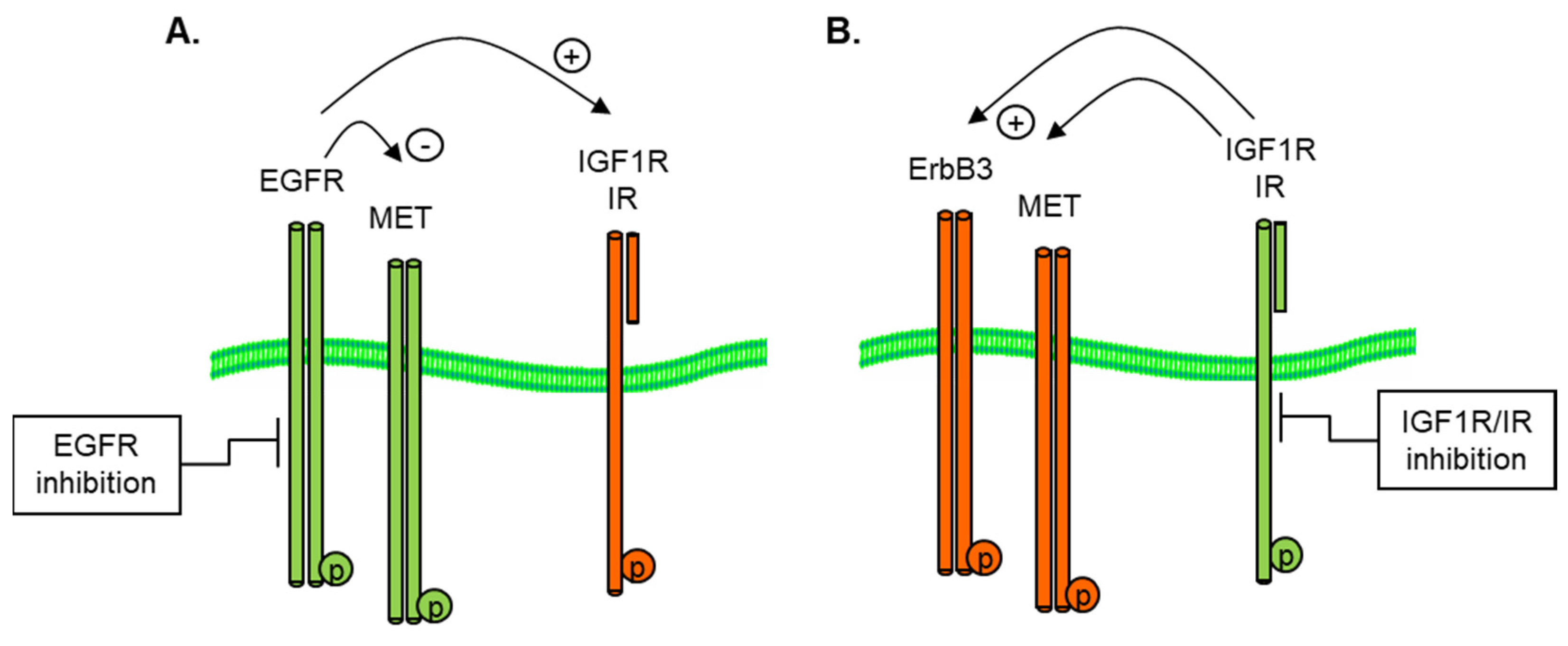 Proteomes 11 00020 g004