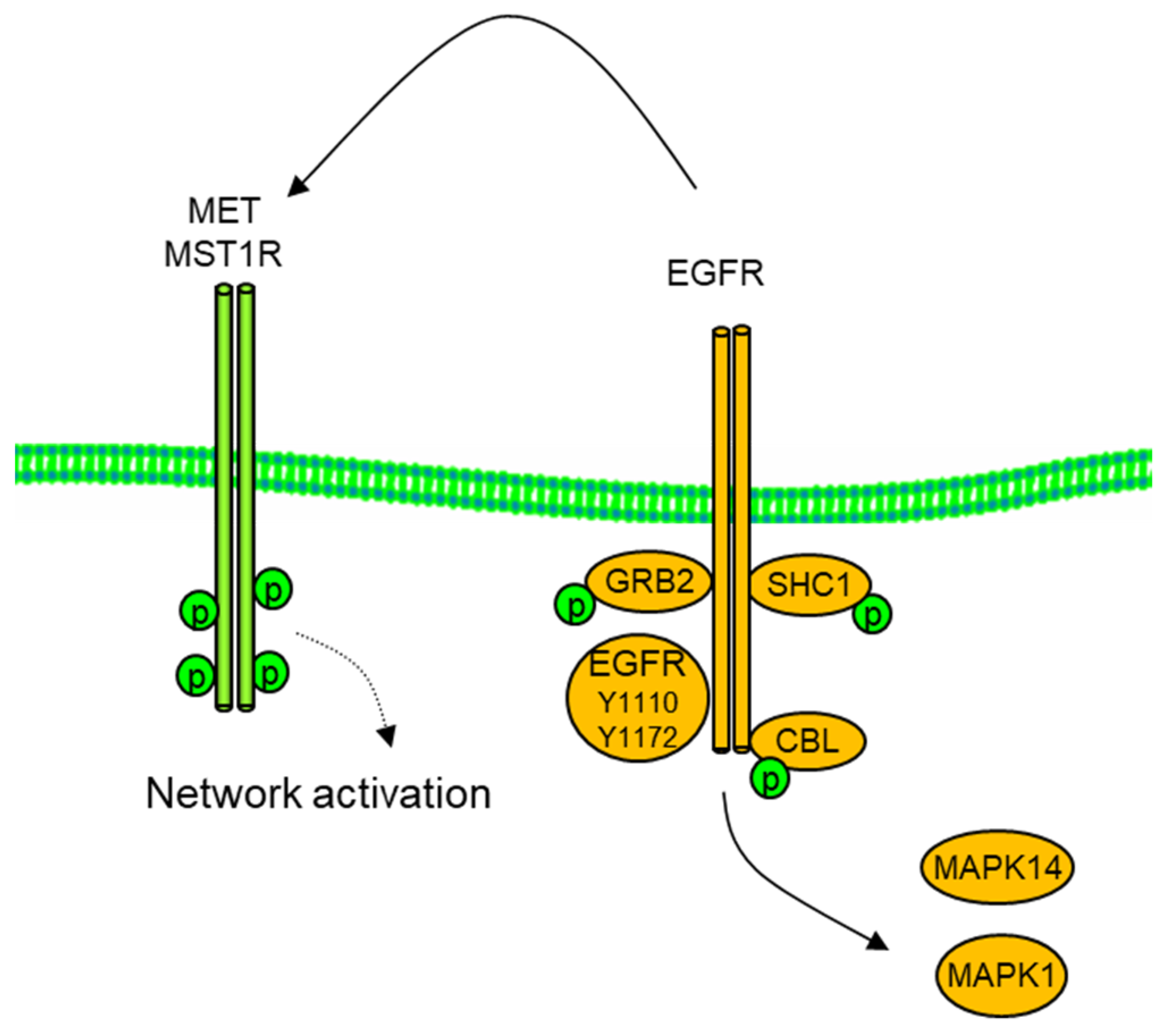 Proteomes 11 00020 g005