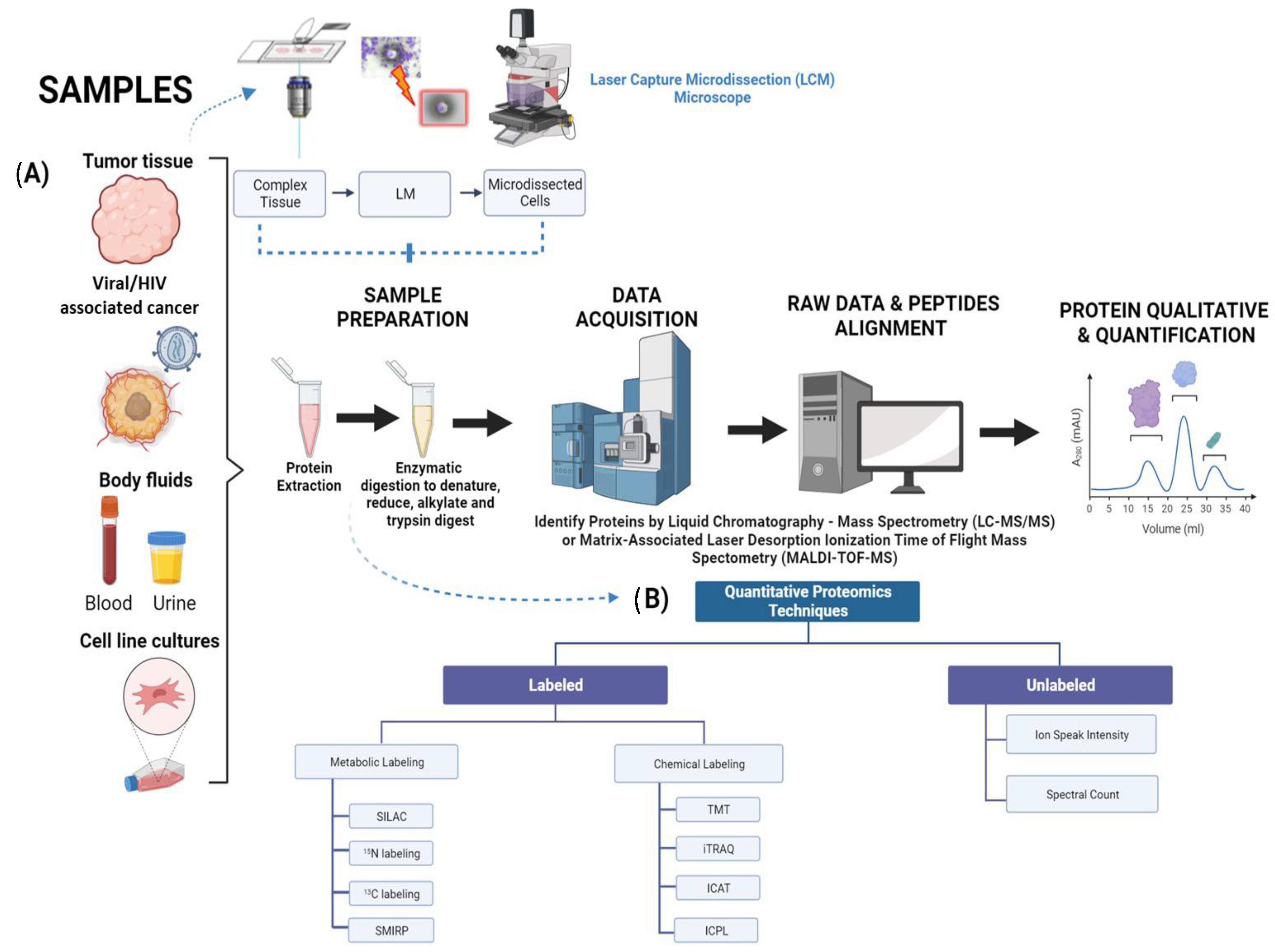 Proteomes 11 00022 g001 Proteomes 11 00022 g001
