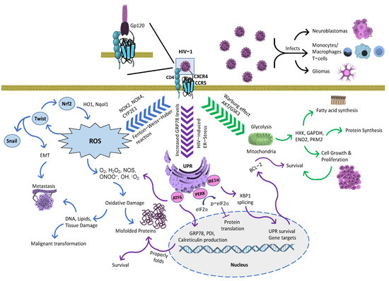 Proteomes 11 00022 g002
