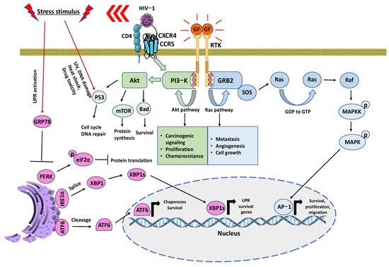 Proteomes 11 00022 g003