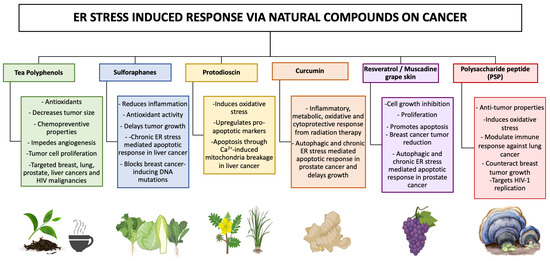 Proteomes 11 00022 g004