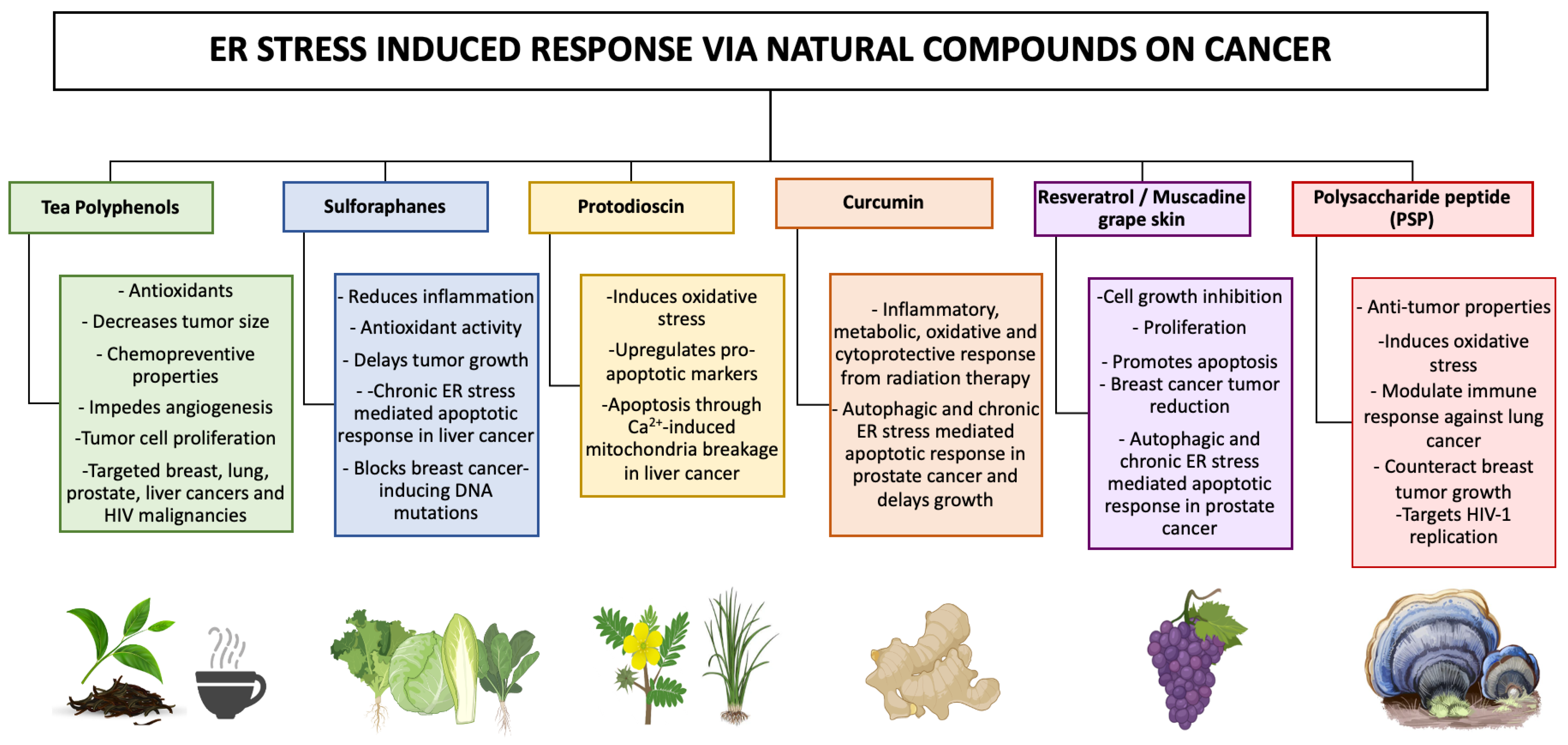 Proteomes 11 00022 g004 Proteomes 11 00022 g004