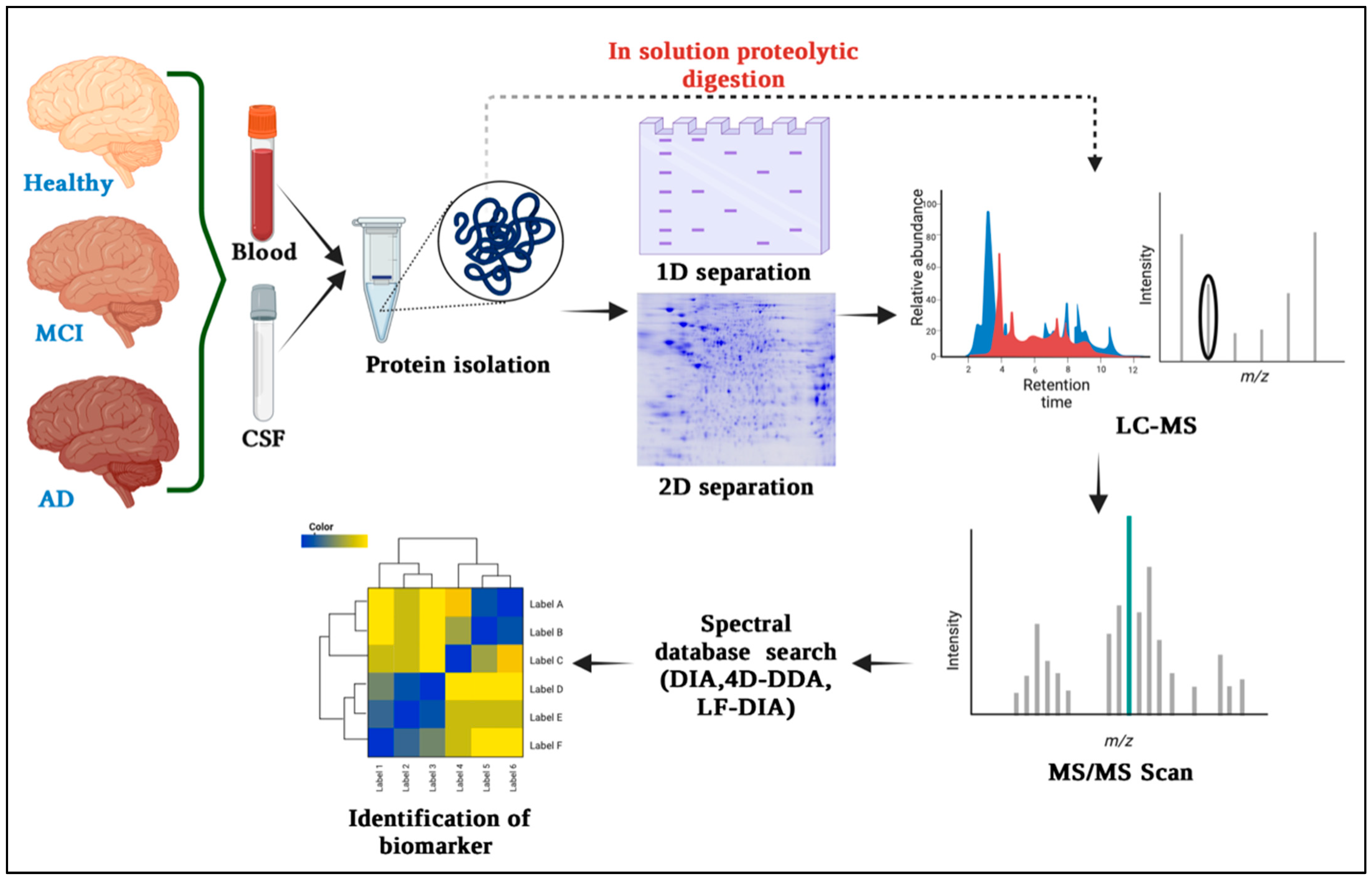 Proteomes 11 00033 g001