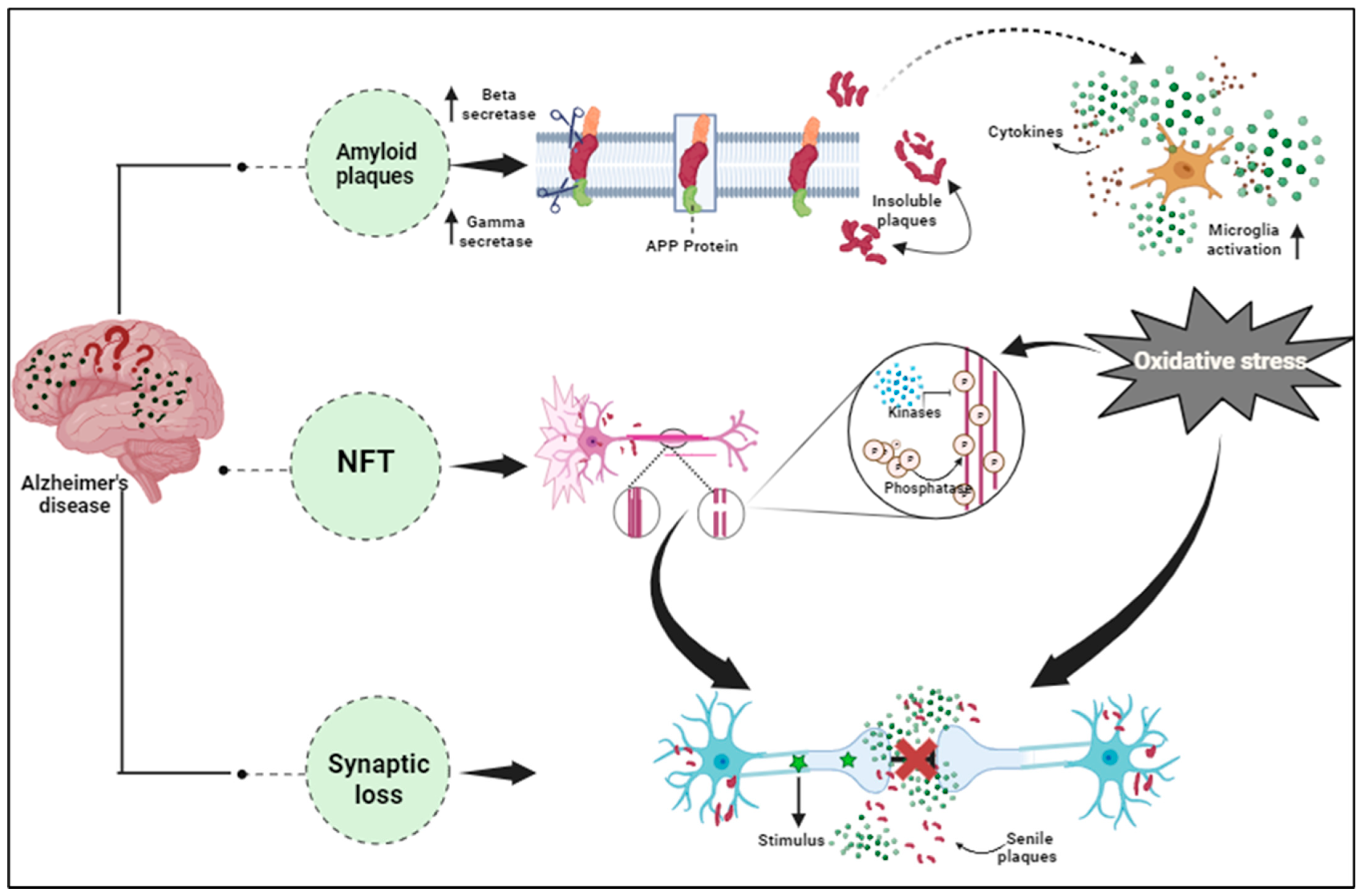 Proteomes 11 00033 g002