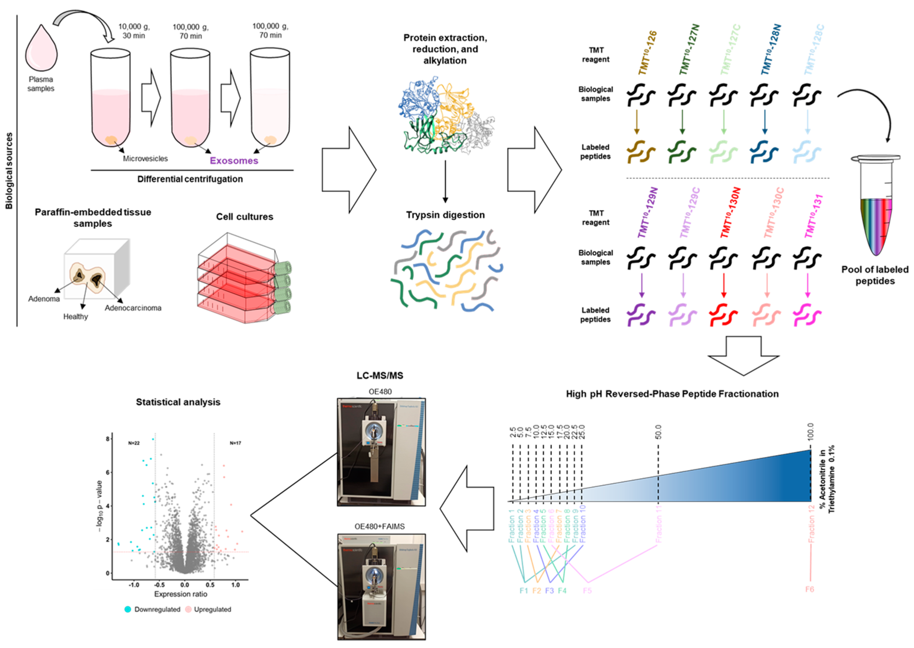 Proteomes 11 00035 g001