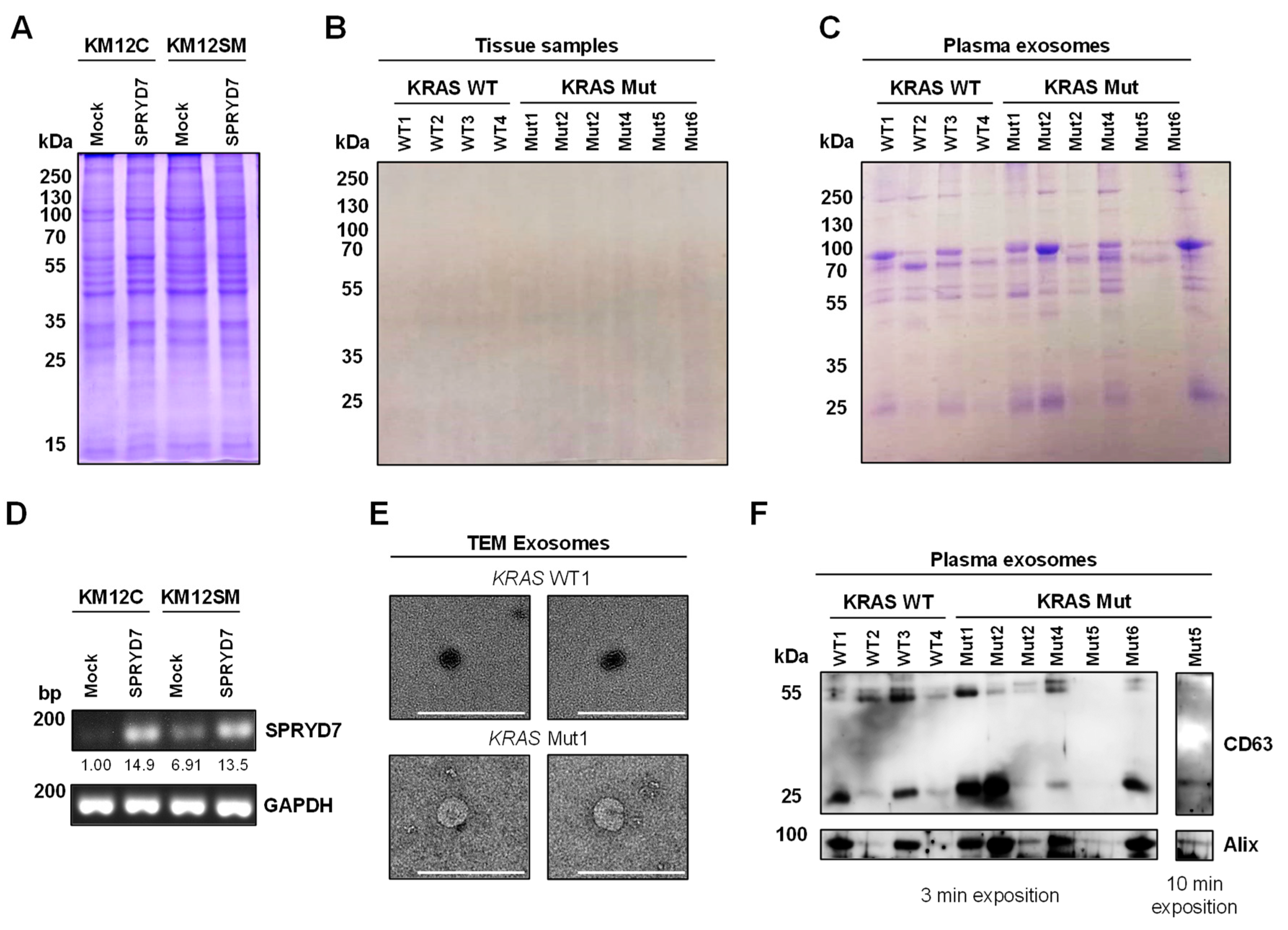 Proteomes 11 00035 g002