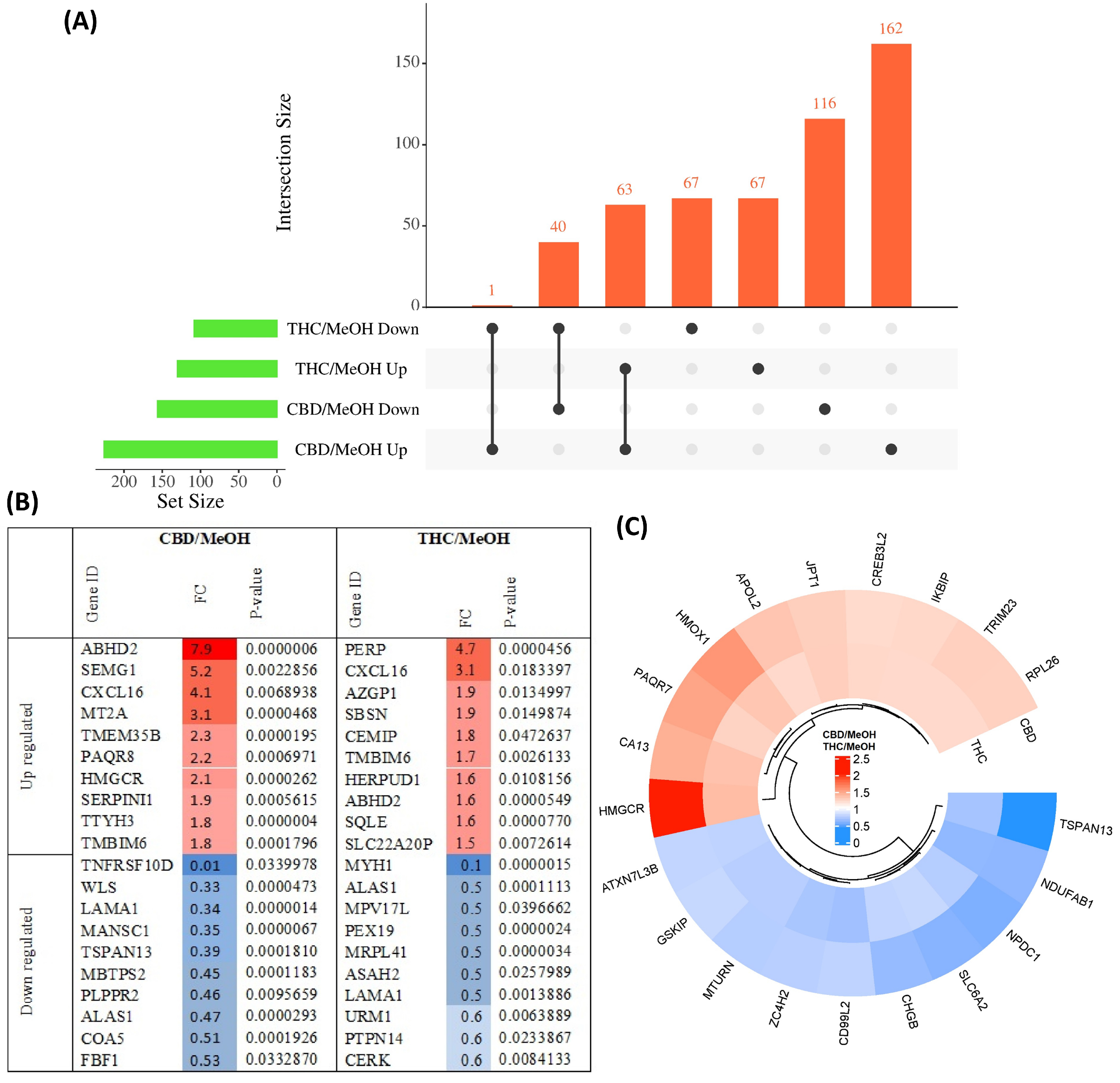 Proteomes 11 00036 g002