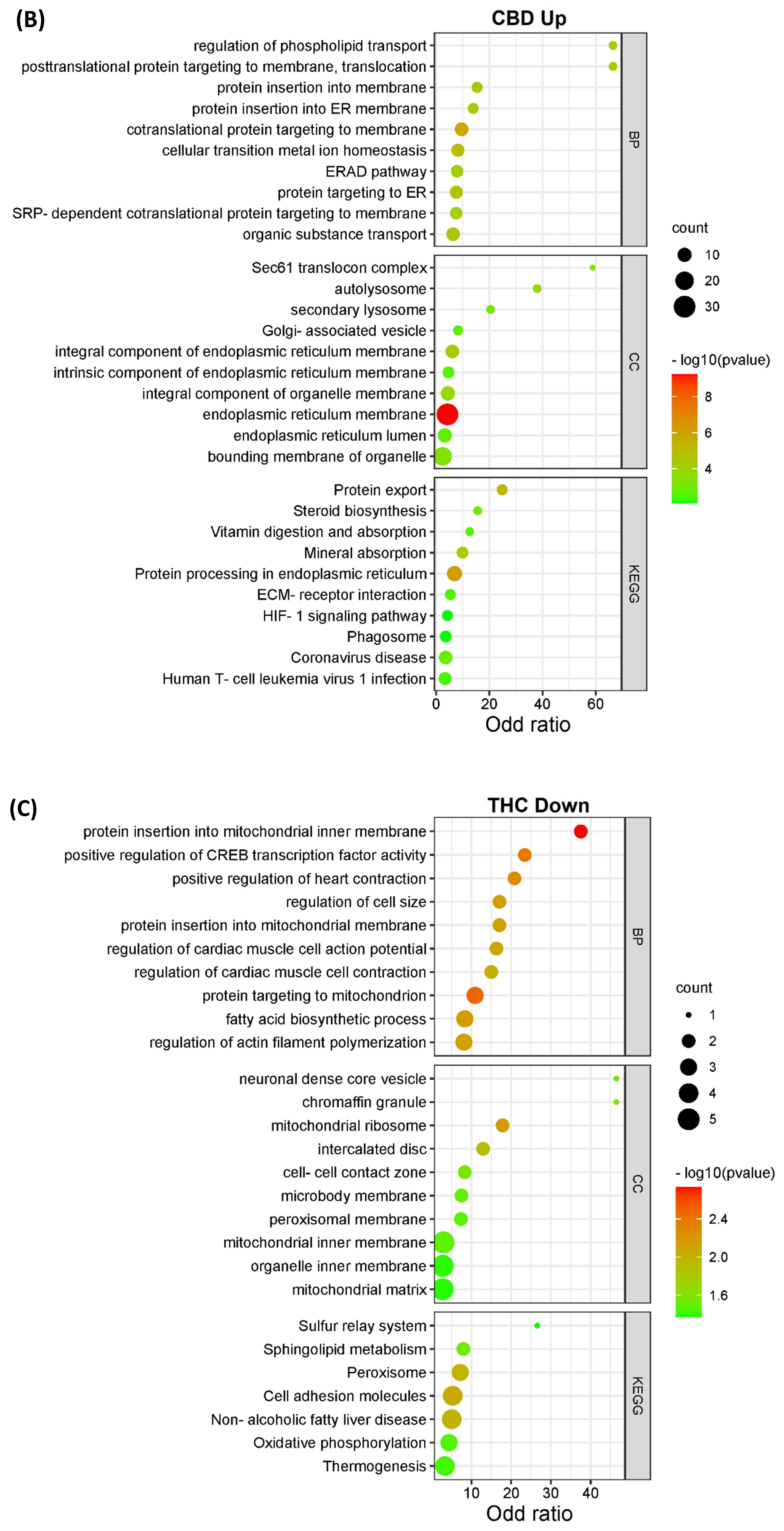 Proteomes 11 00036 g003b
