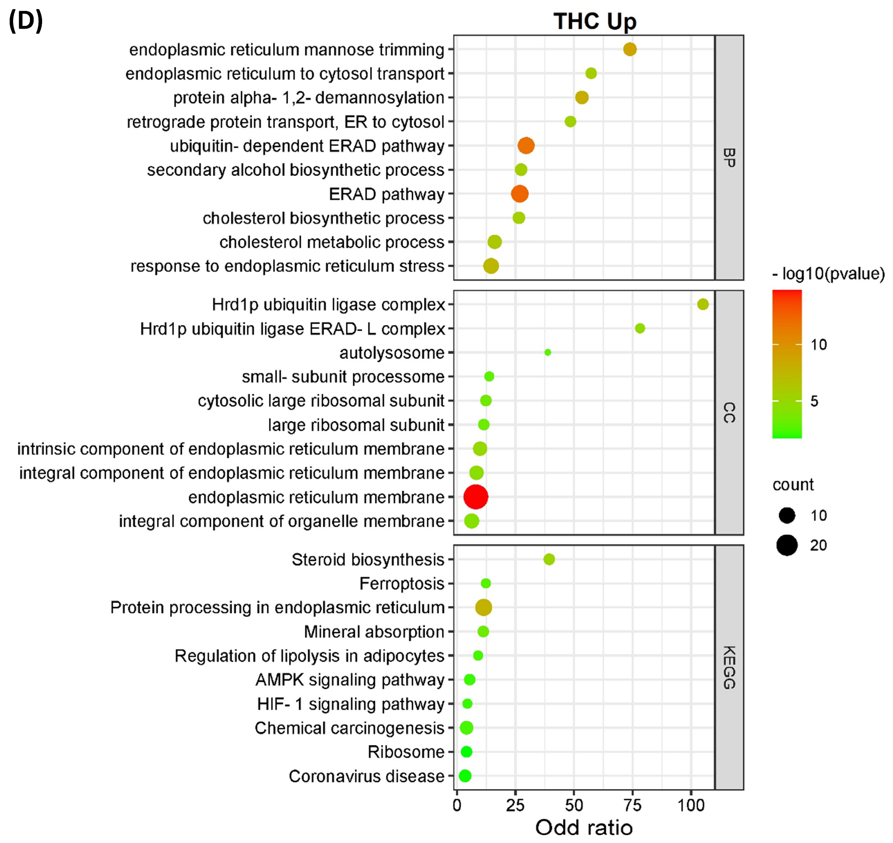 Proteomes 11 00036 g003c