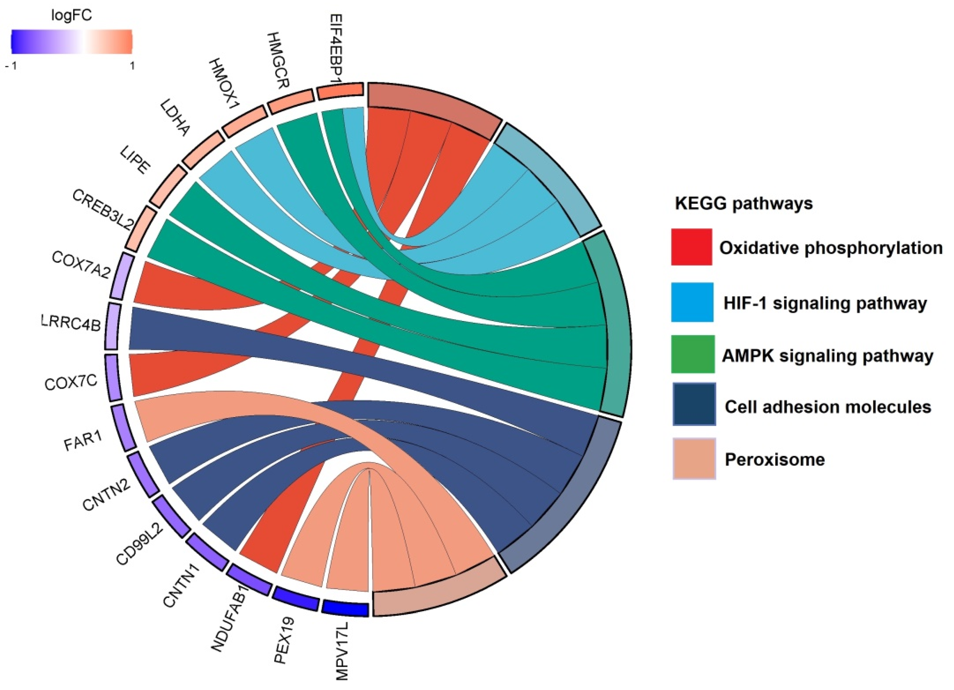 Proteomes 11 00036 g004