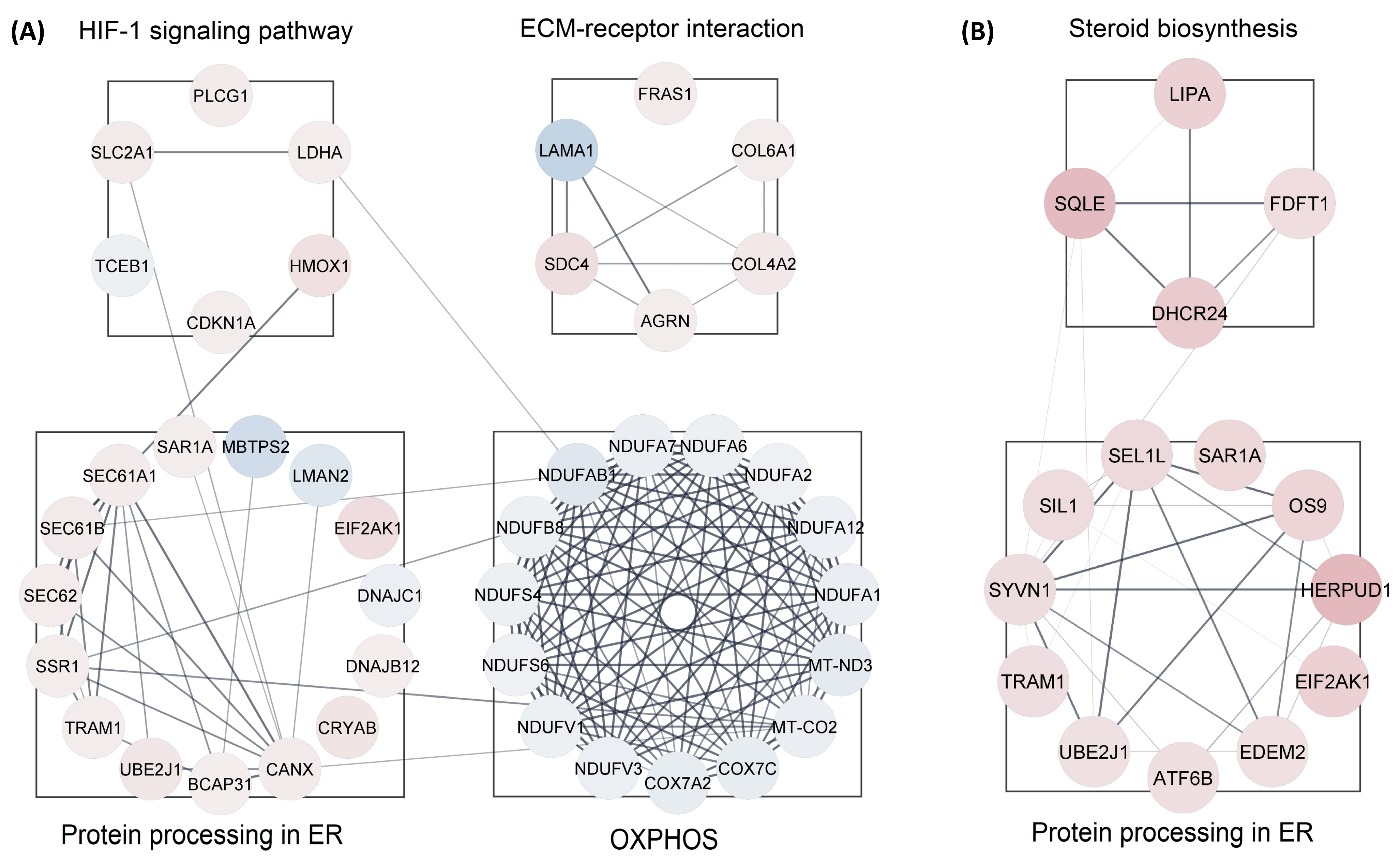 Proteomes 11 00036 g005
