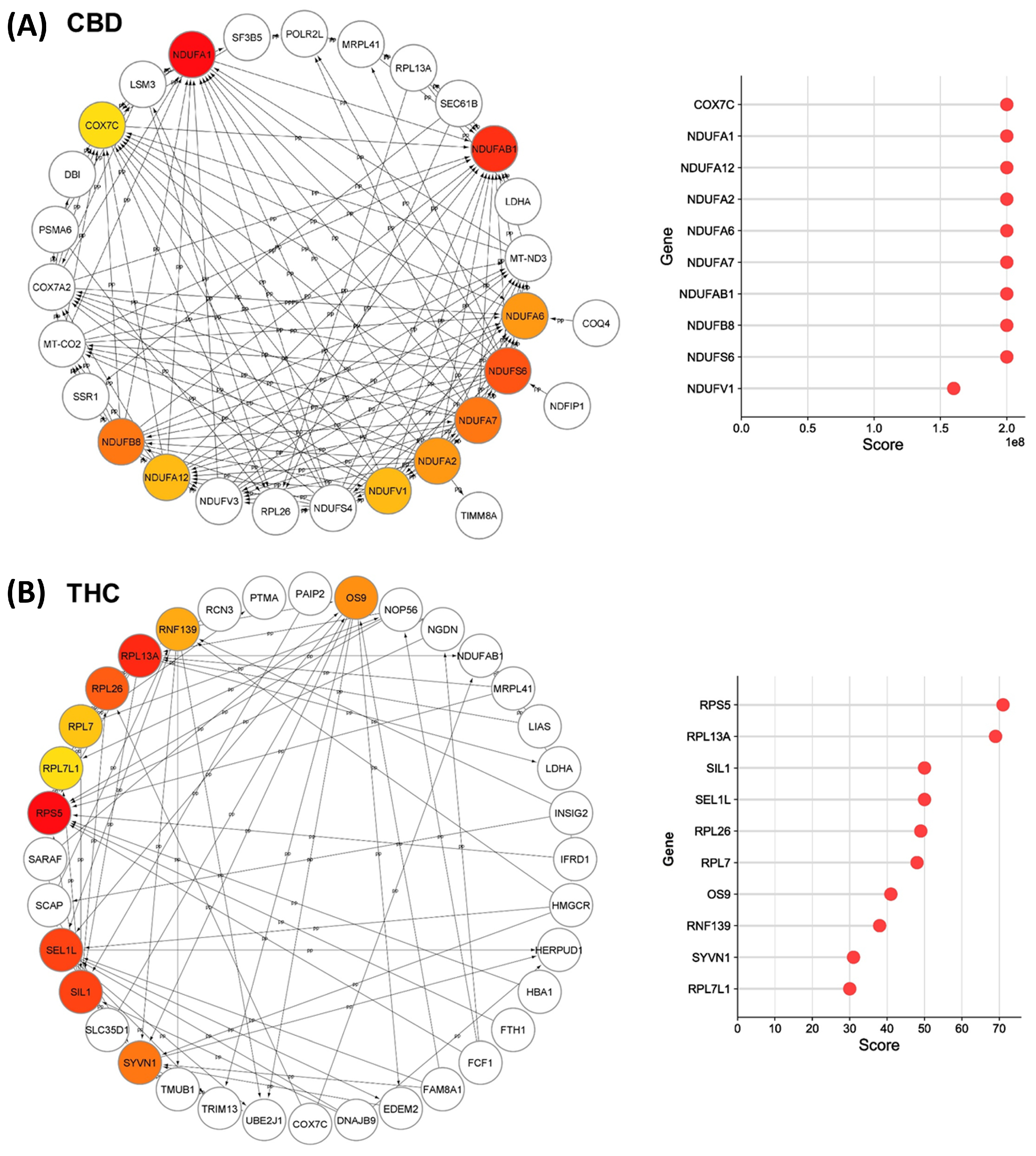 Proteomes 11 00036 g006