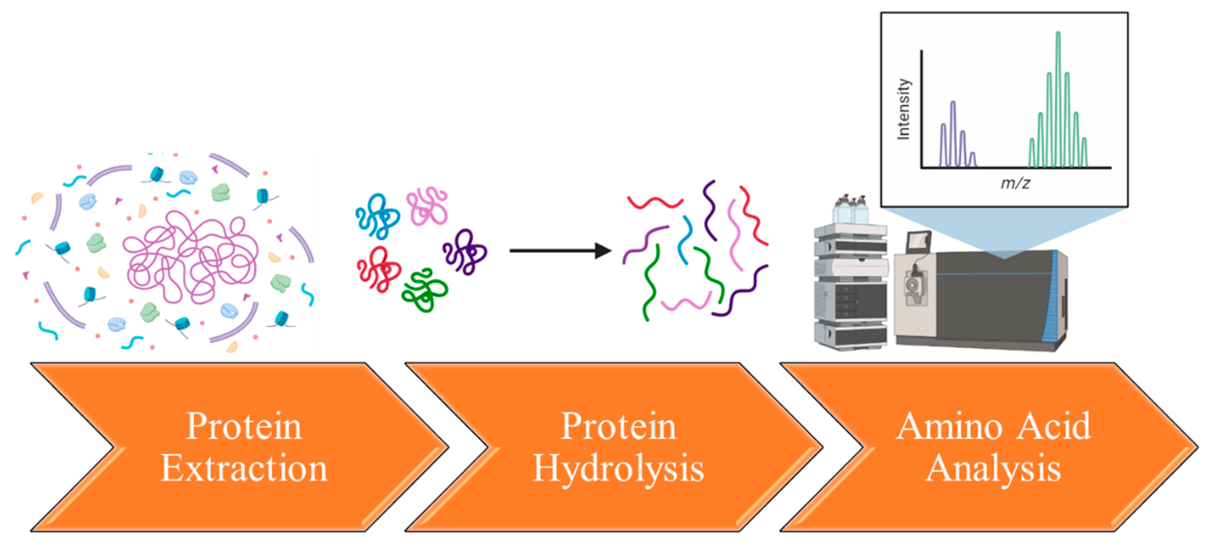 Proteomes 11 00037 g002