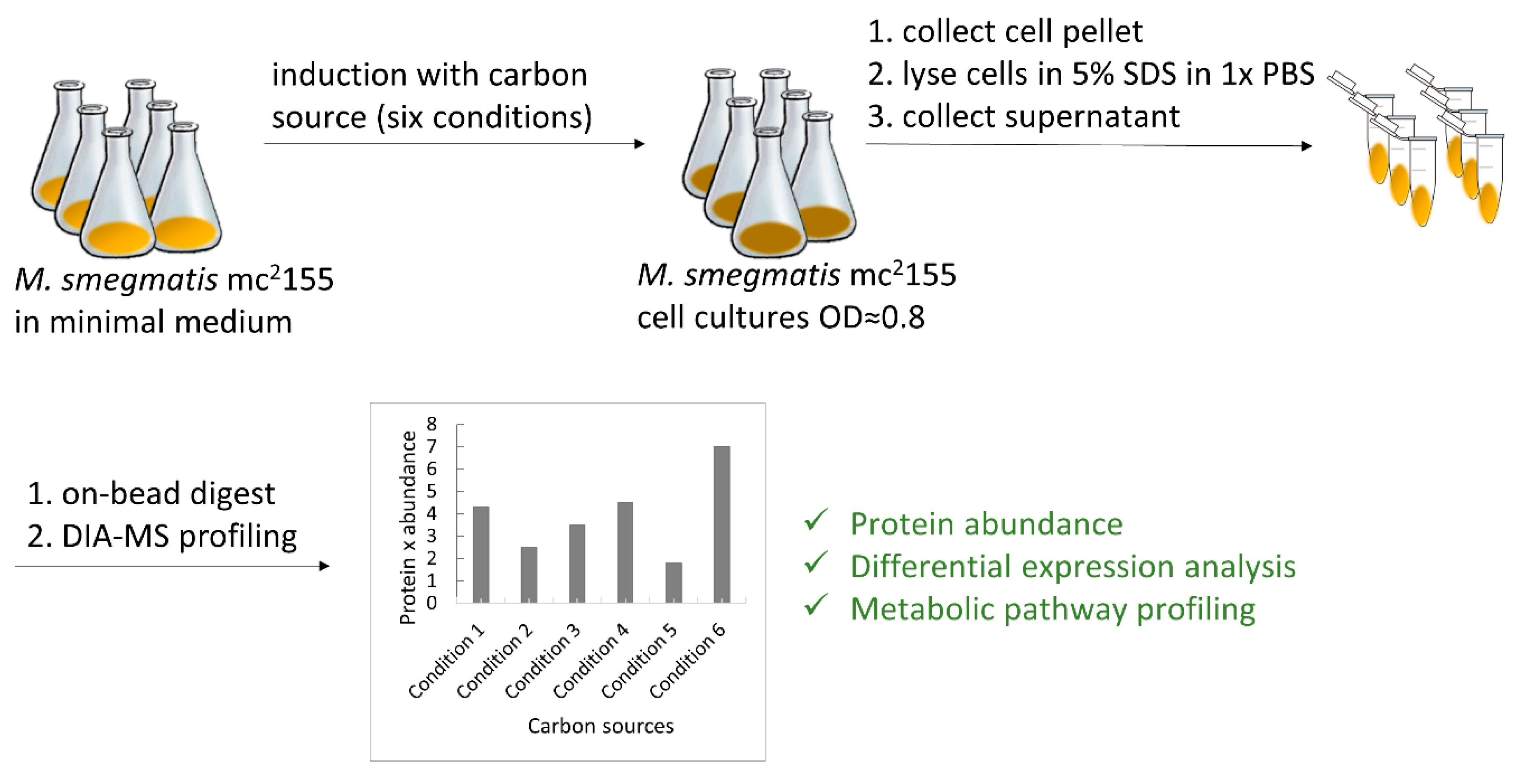 Proteomes 11 00039 g001