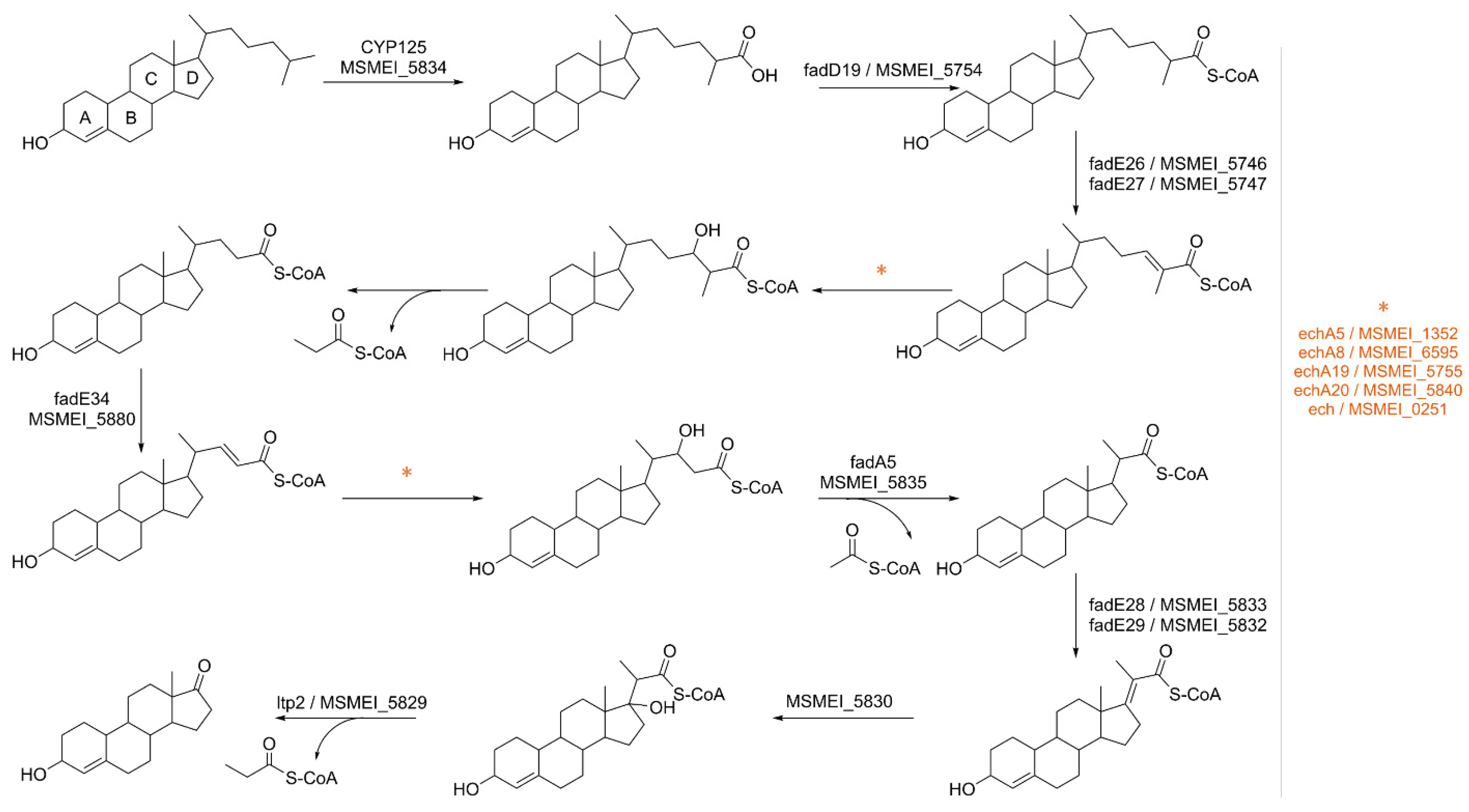 Proteomes 11 00039 g010