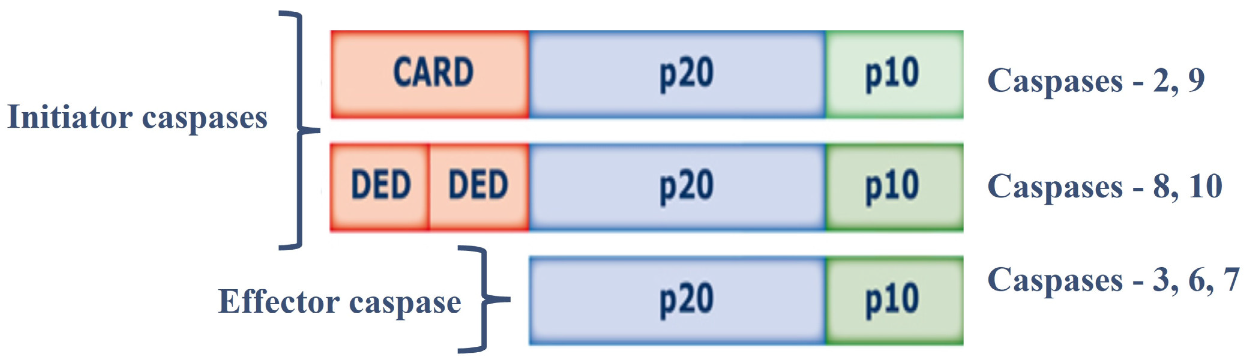 Proteomes 12 00003 g001