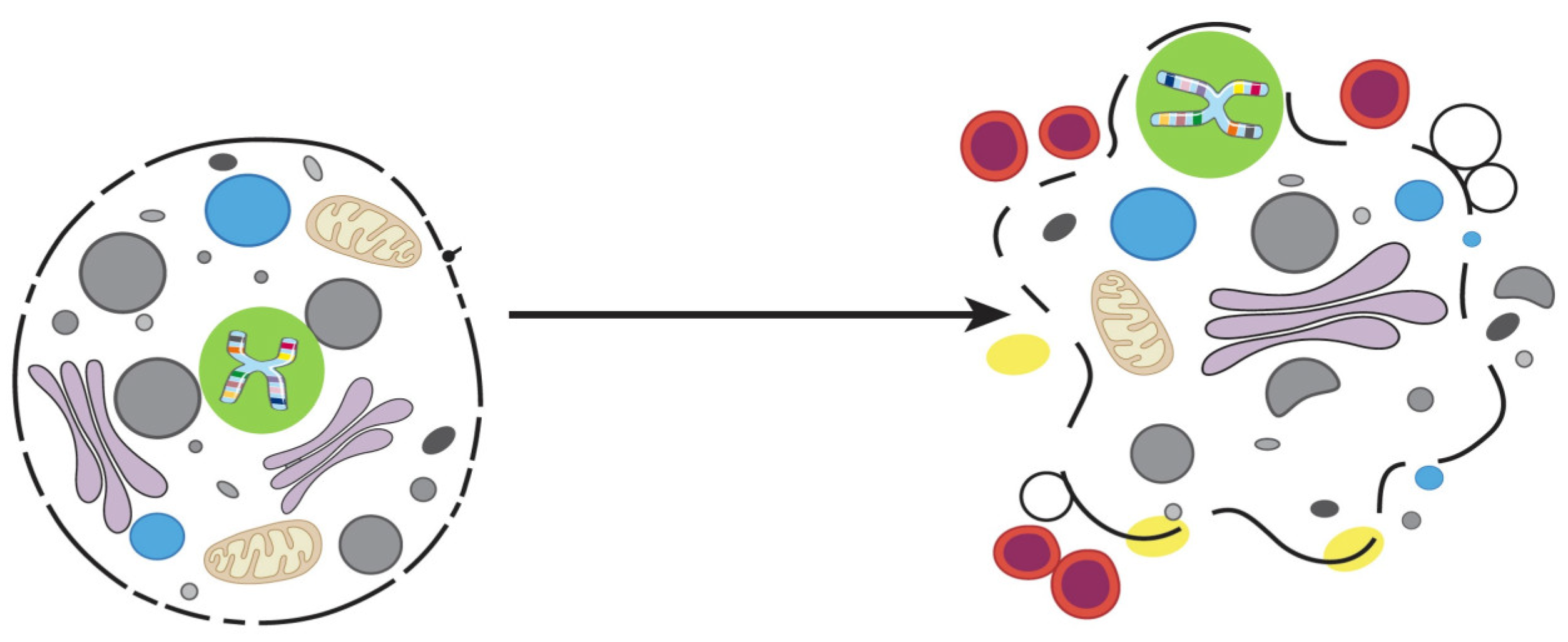 Proteomes 12 00003 g003
