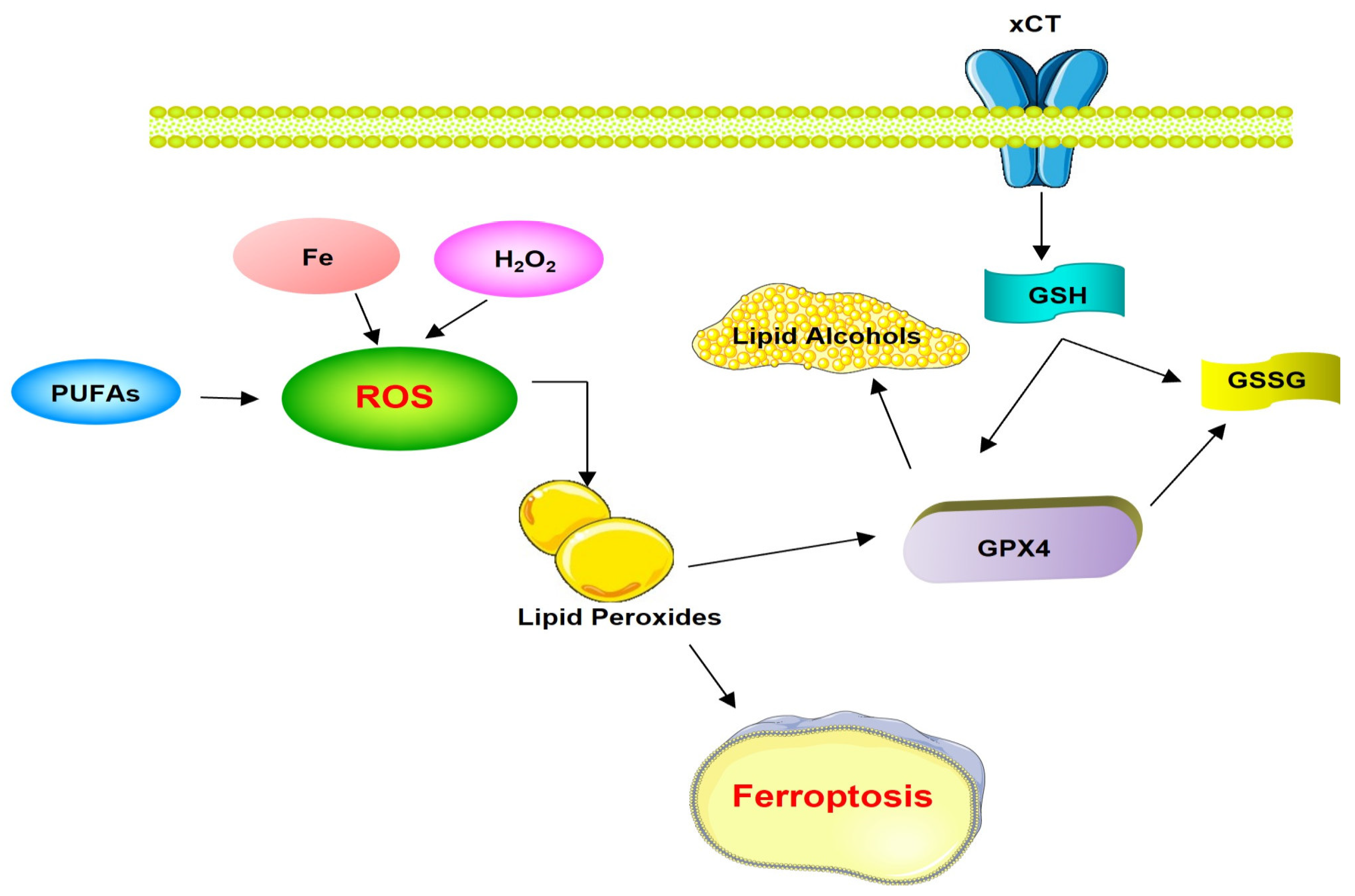 Proteomes 12 00003 g004