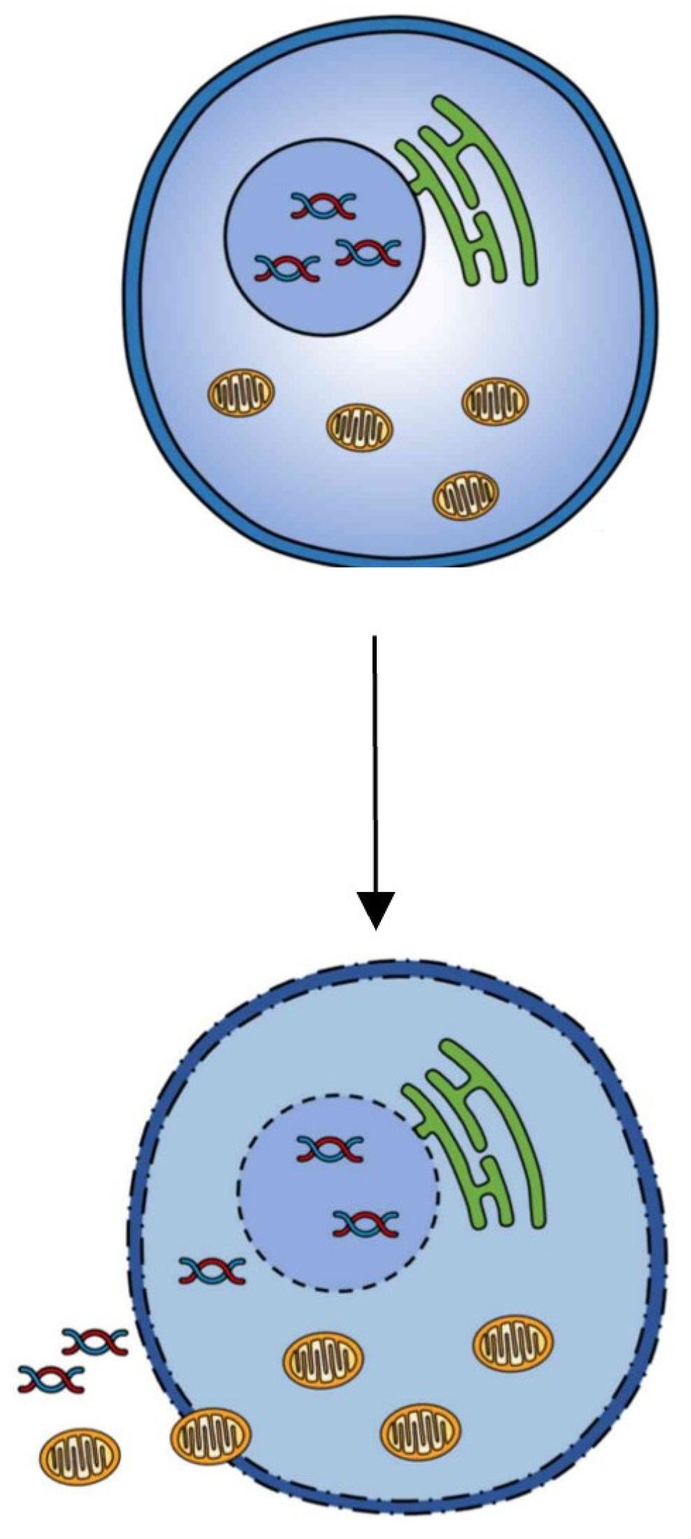 Proteomes 12 00003 g005
