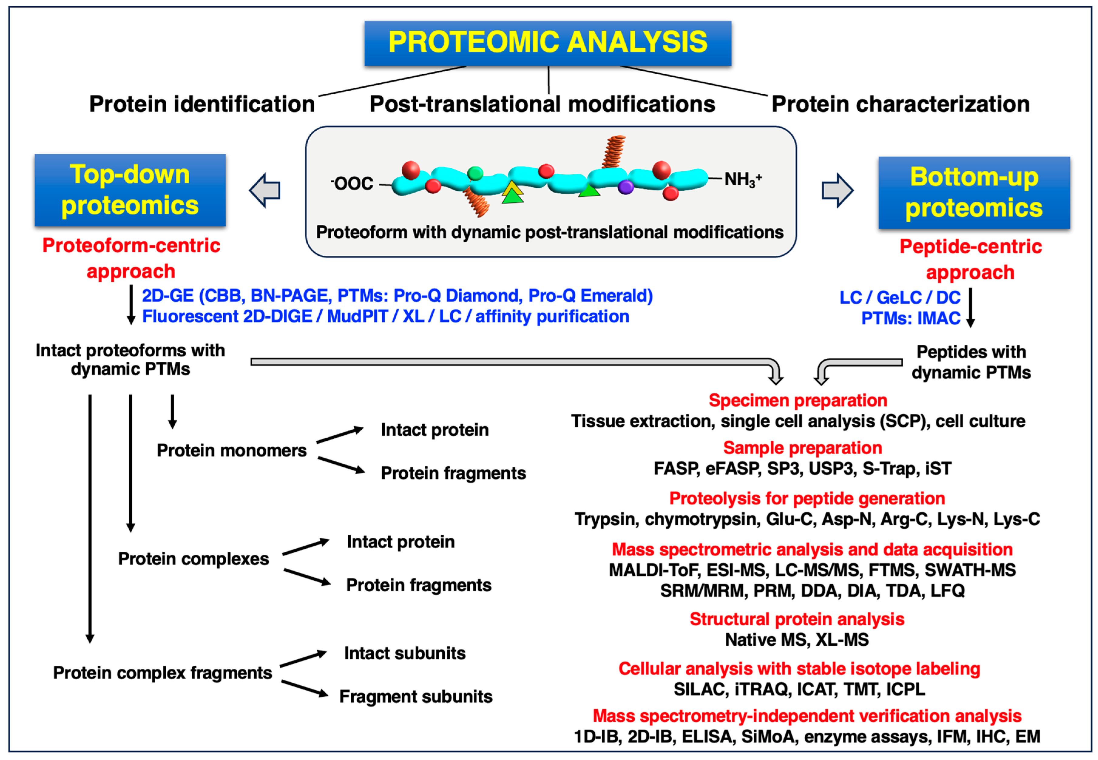Proteomes 12 00004 g001 Proteomes 12 00004 g001