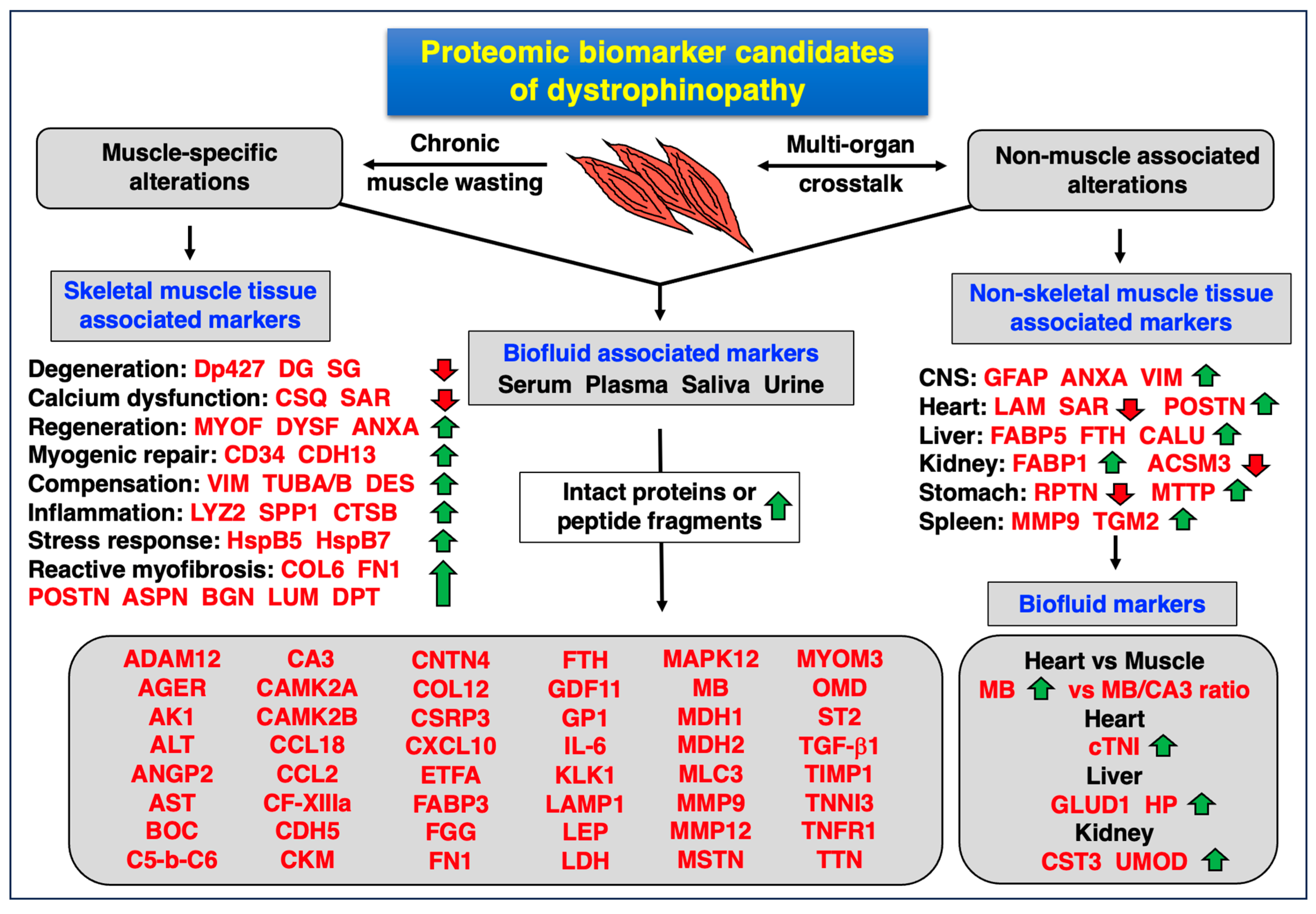Proteomes 12 00004 g005 Proteomes 12 00004 g005