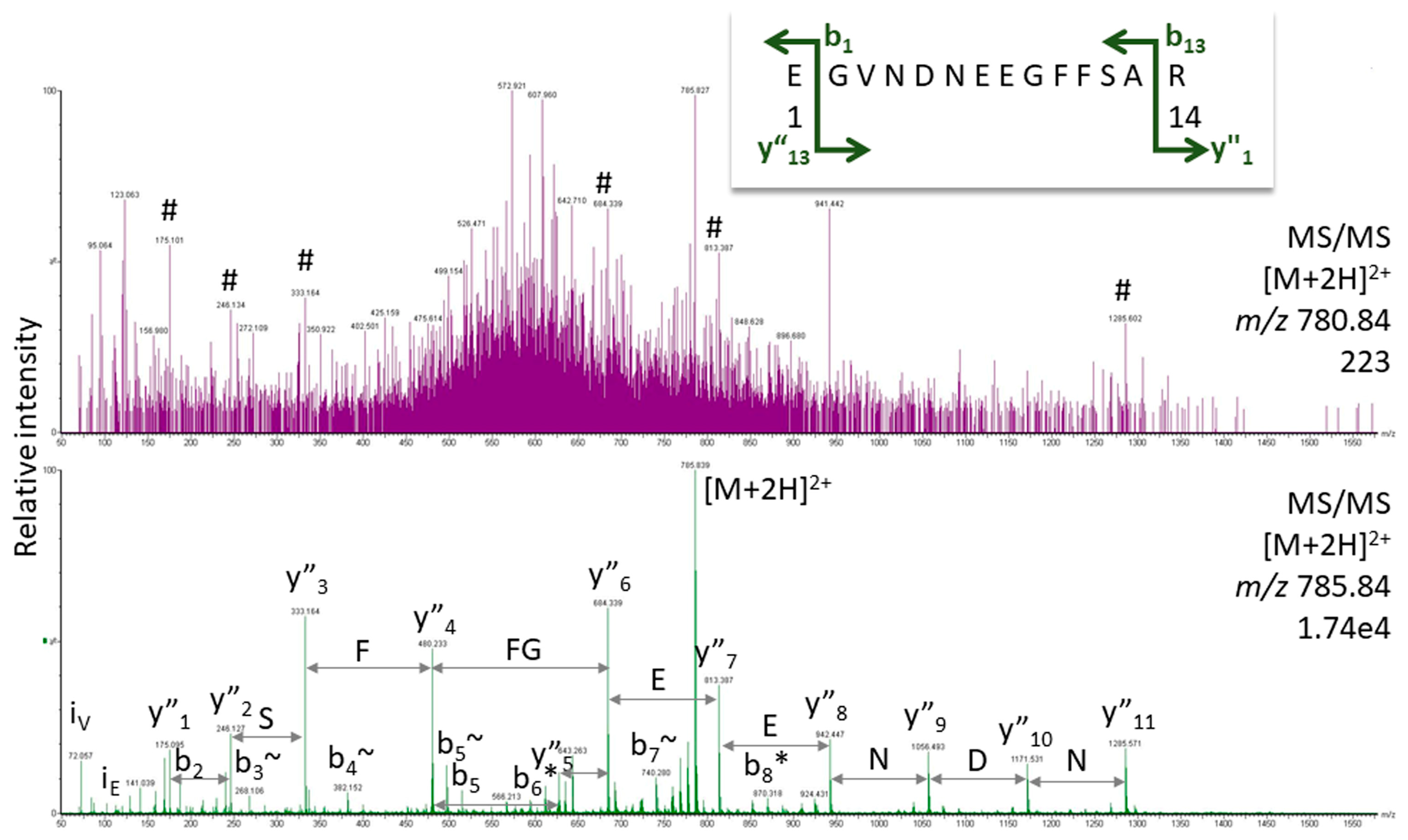 Proteomes 12 00006 g002
