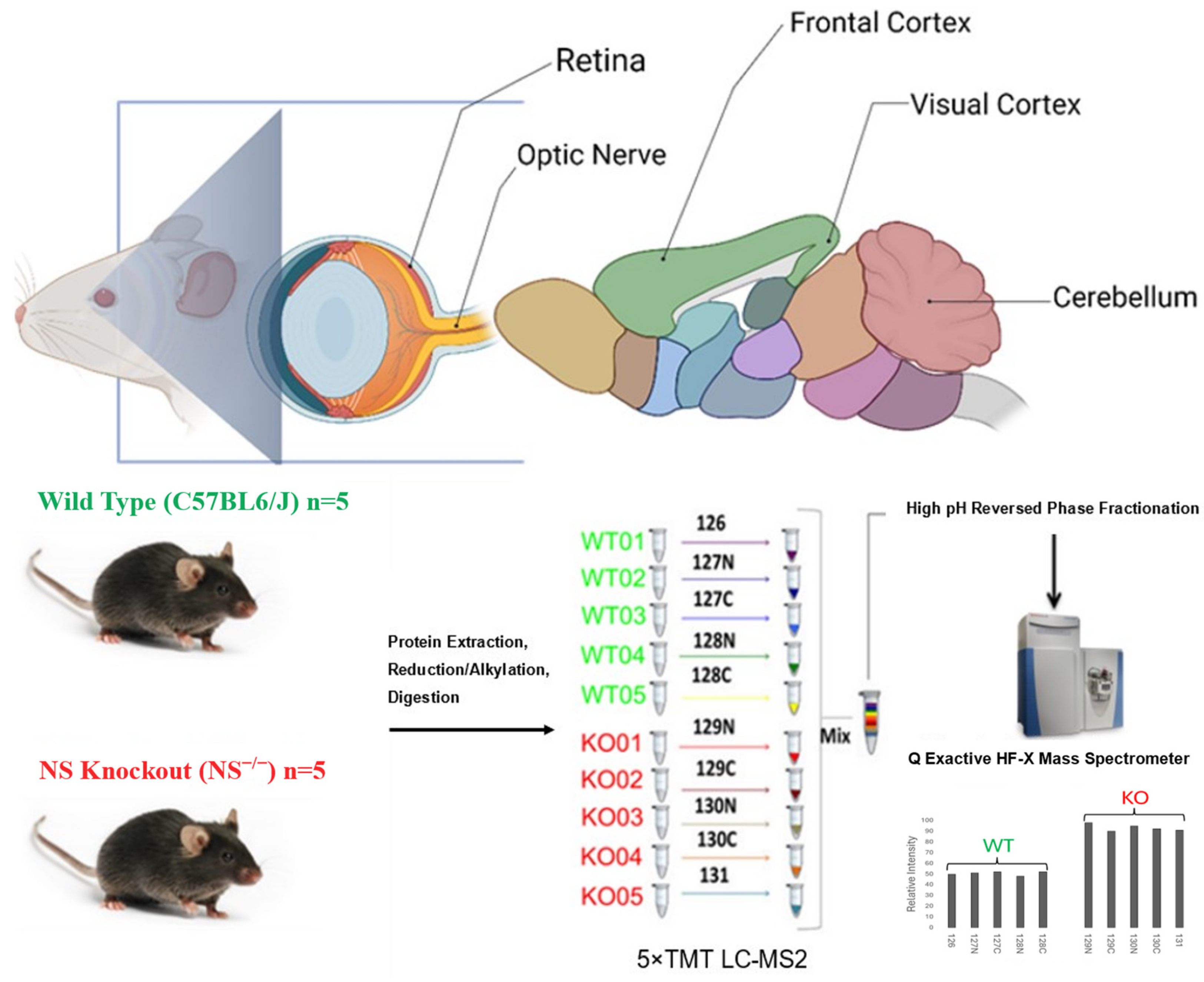 Proteomes 12 00007 g001