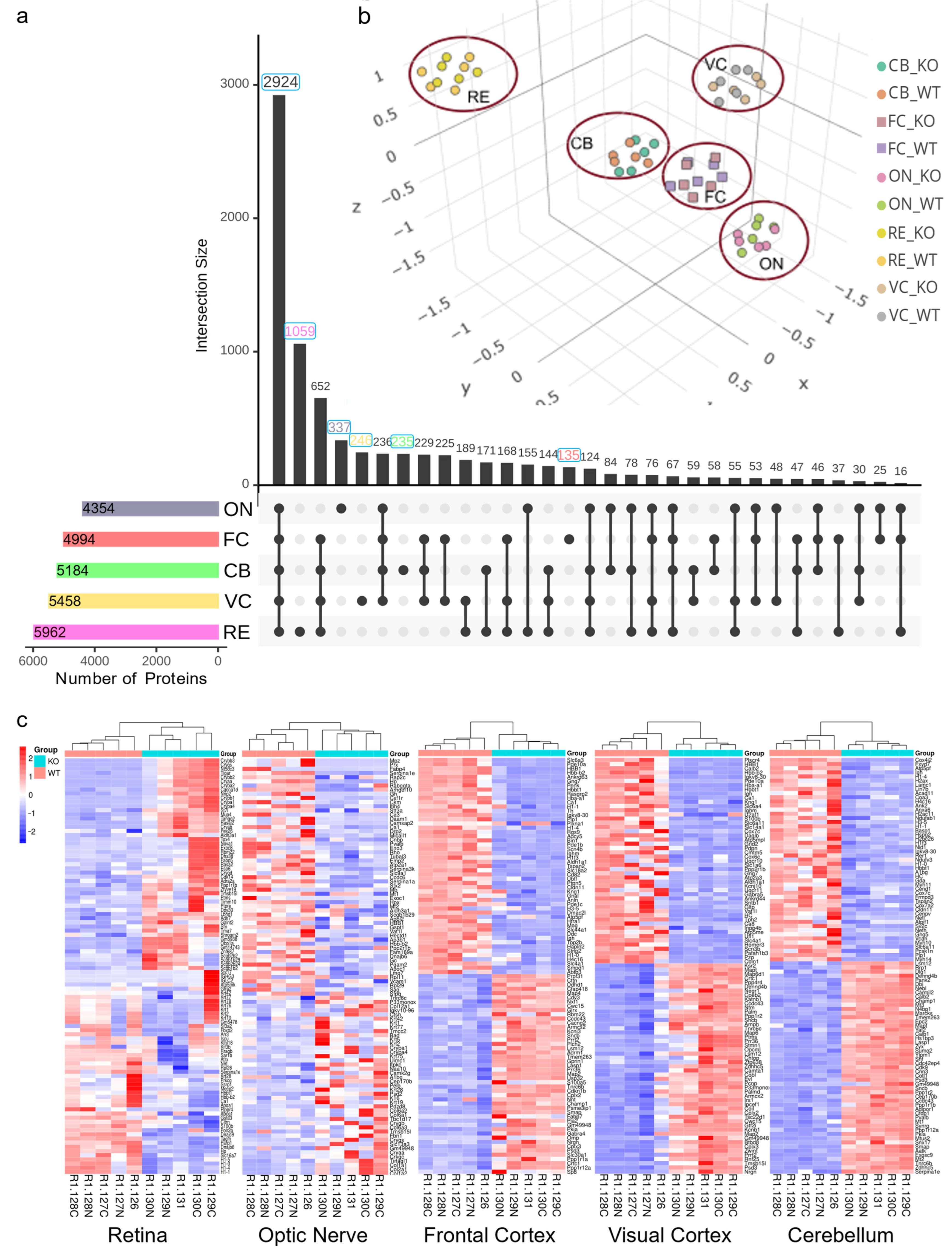 Proteomes 12 00007 g002