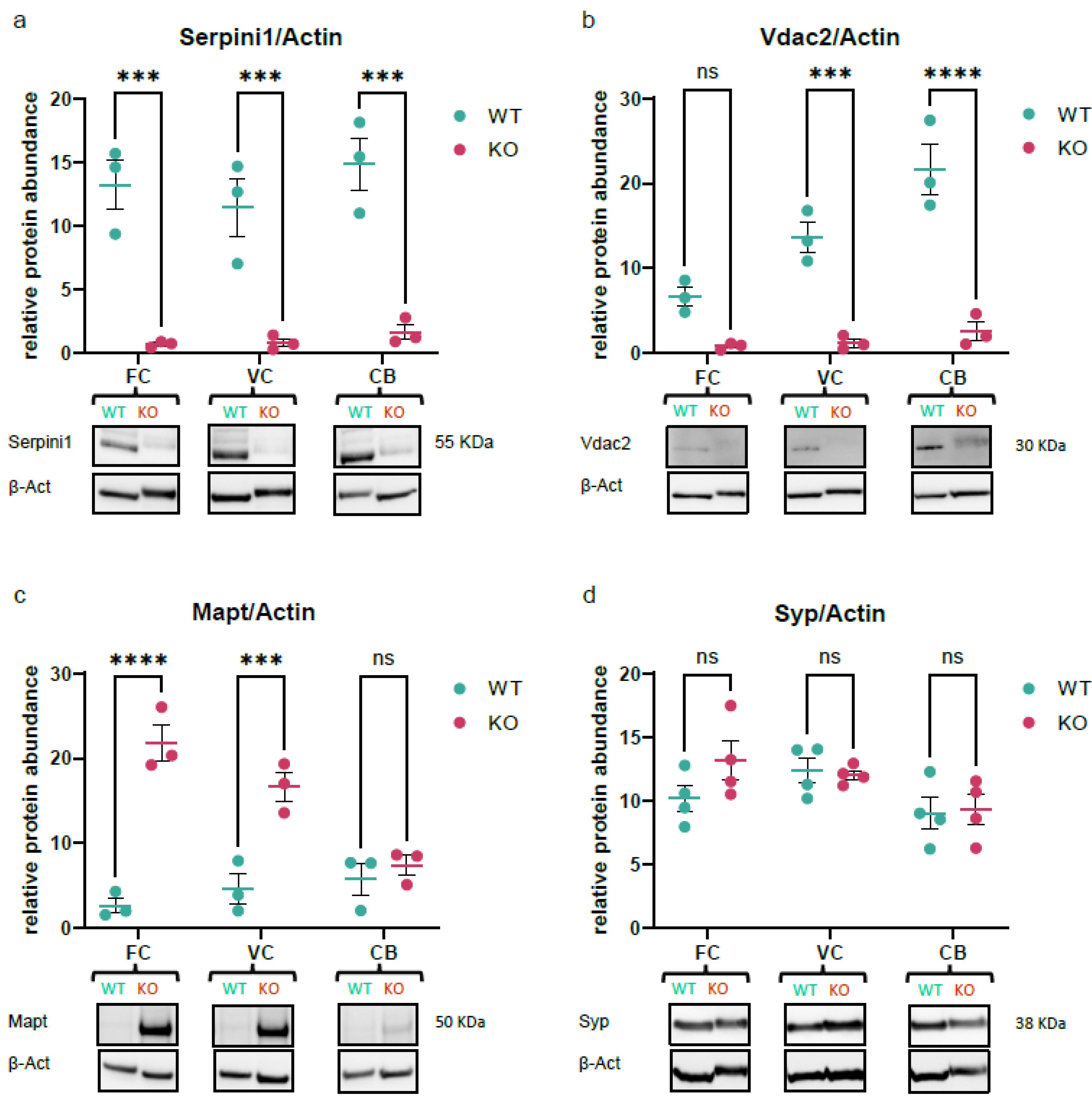 Proteomes 12 00007 g006