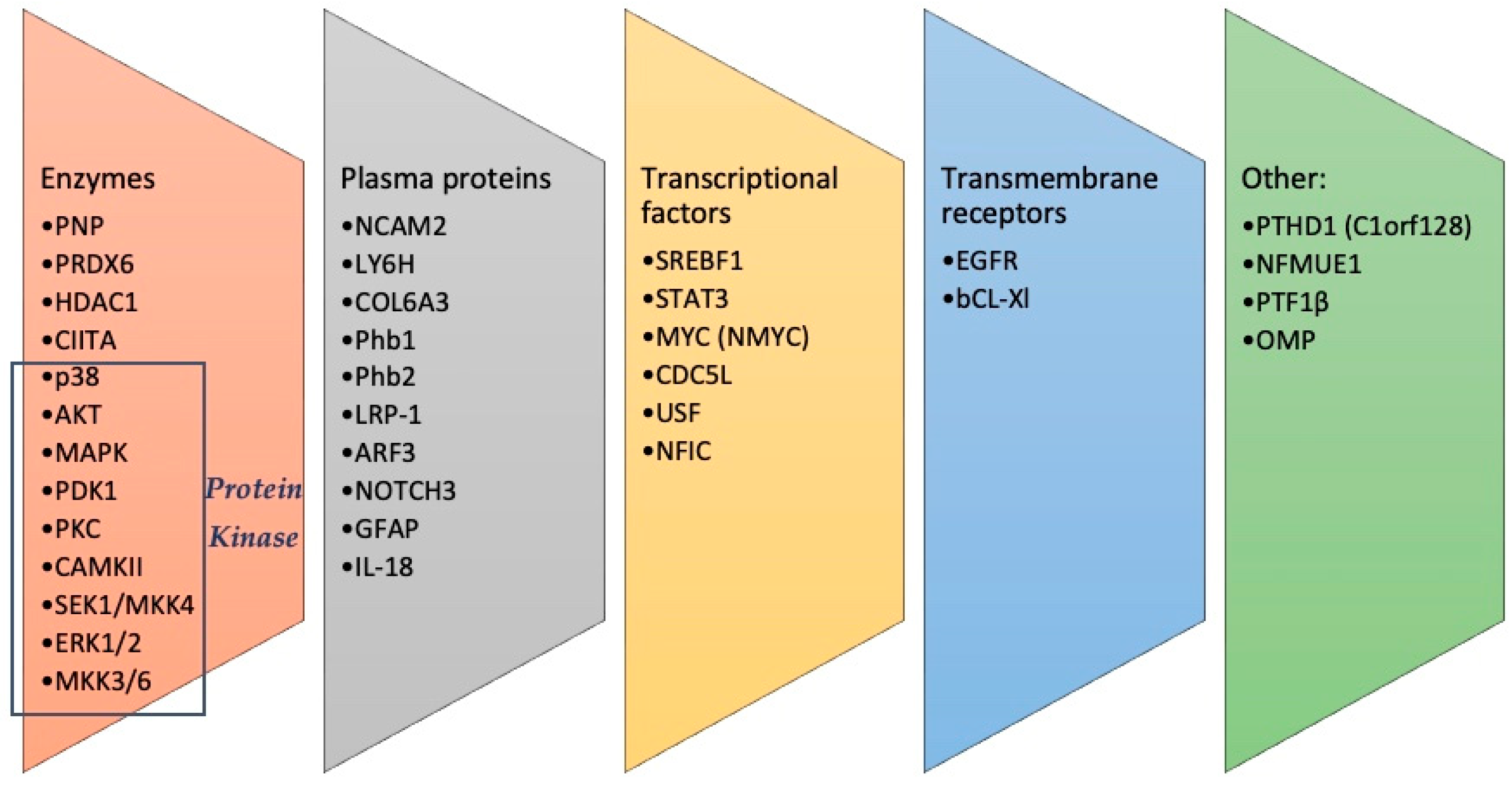 Proteomes 12 00009 g002 Proteomes 12 00009 g002