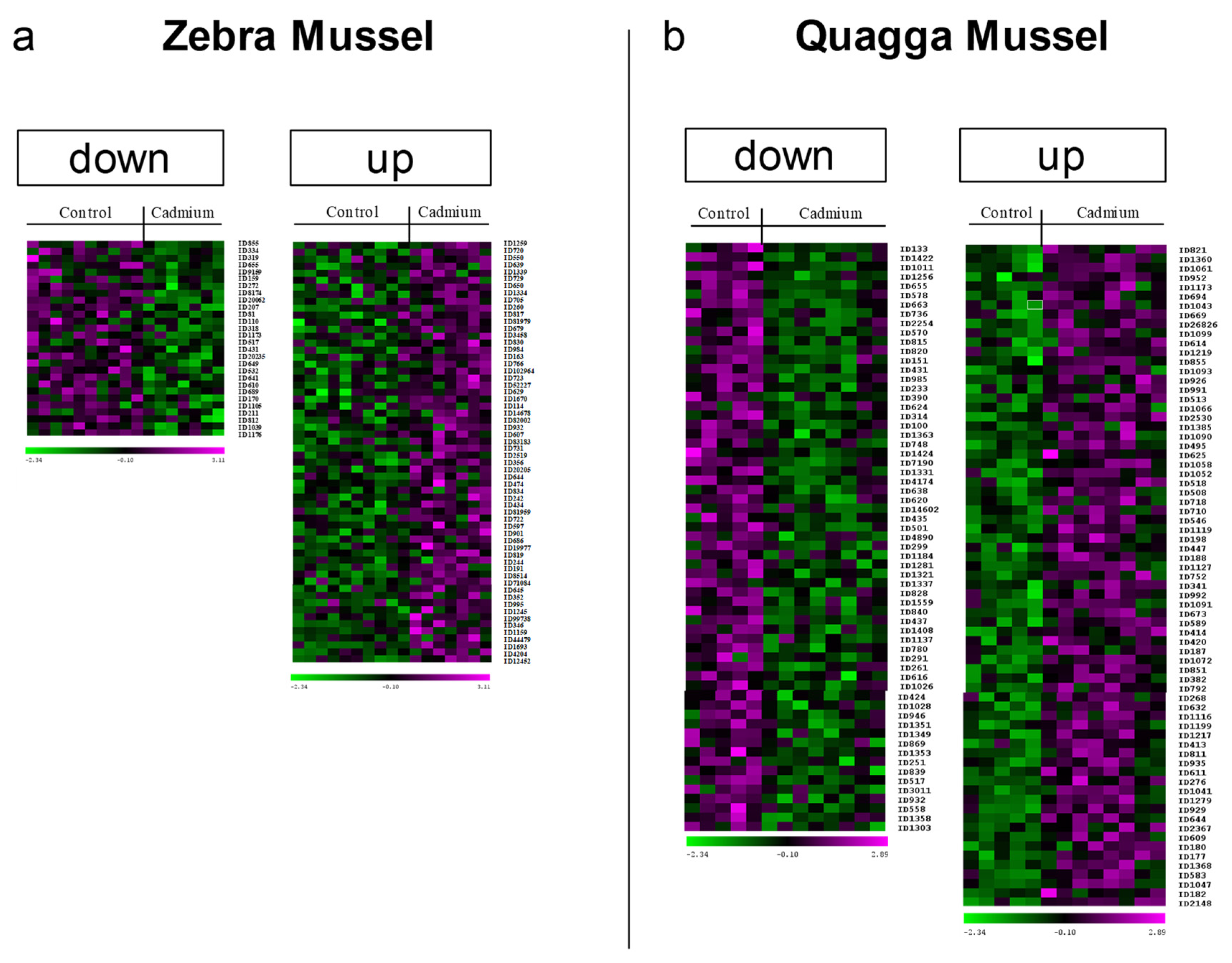 Proteomes 12 00010 g002